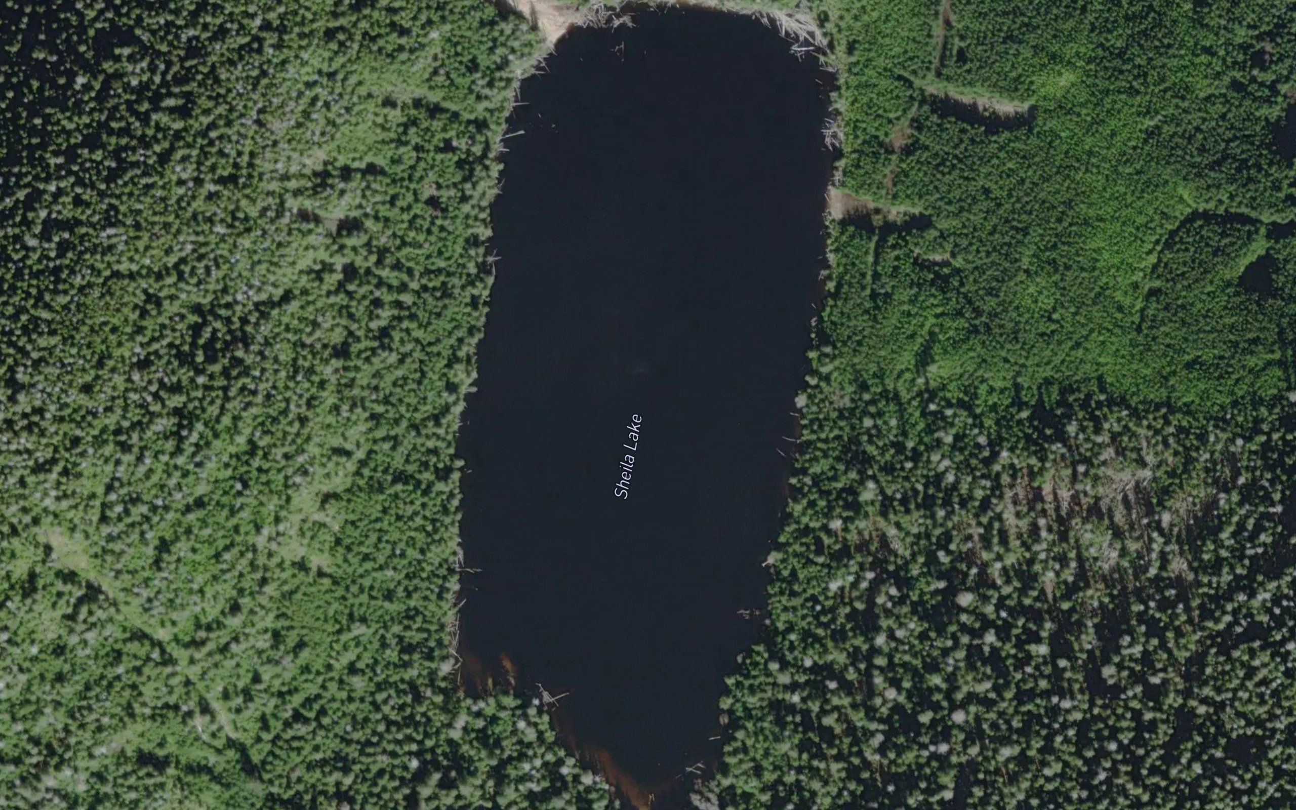 Sheila Lake