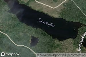 Svartsjoarna