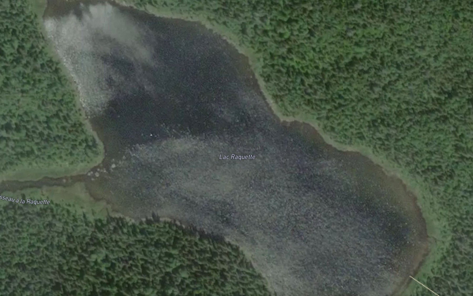 Satellite map of the Lac Raquette
