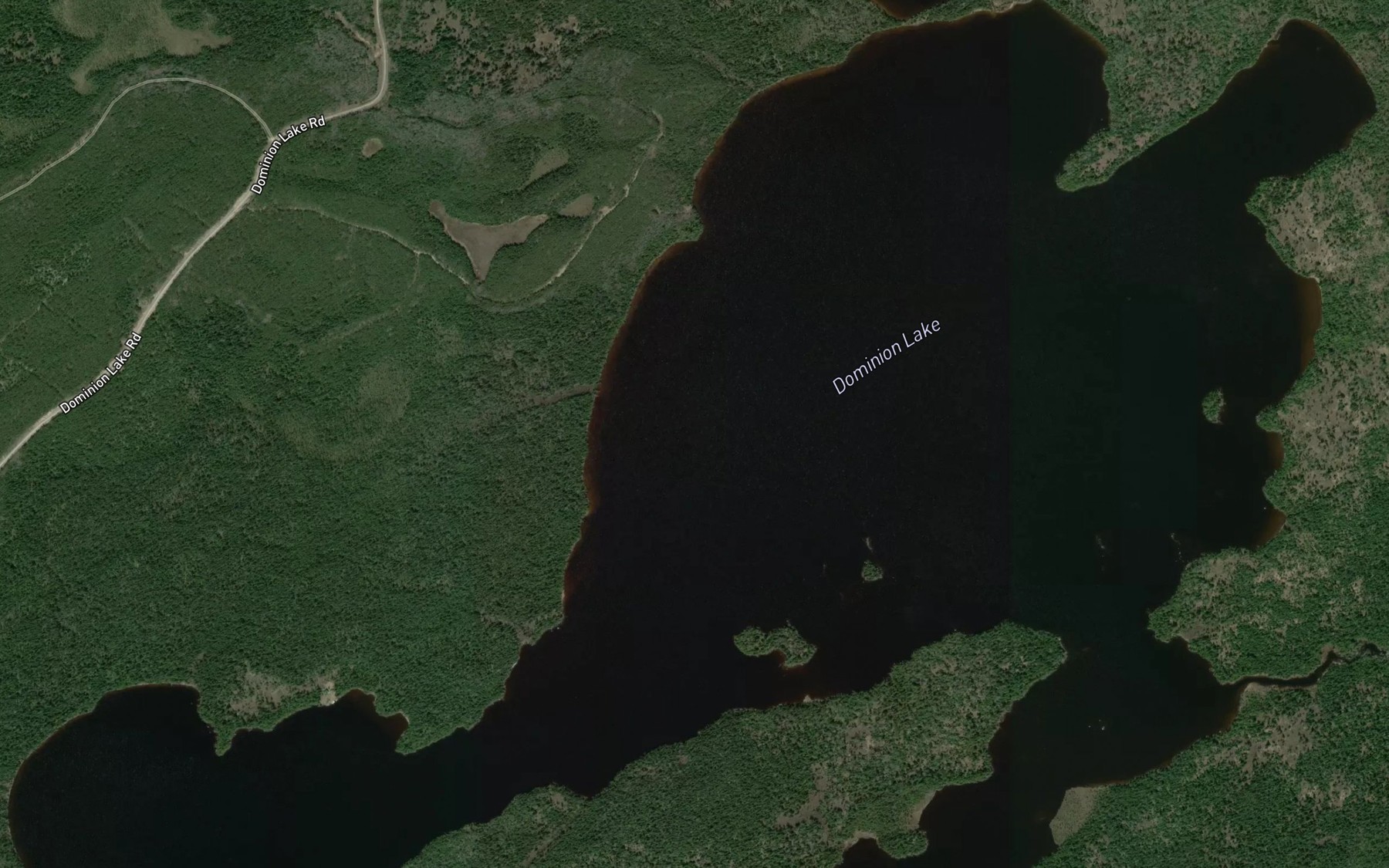 Satellite map of the Dominion Lake