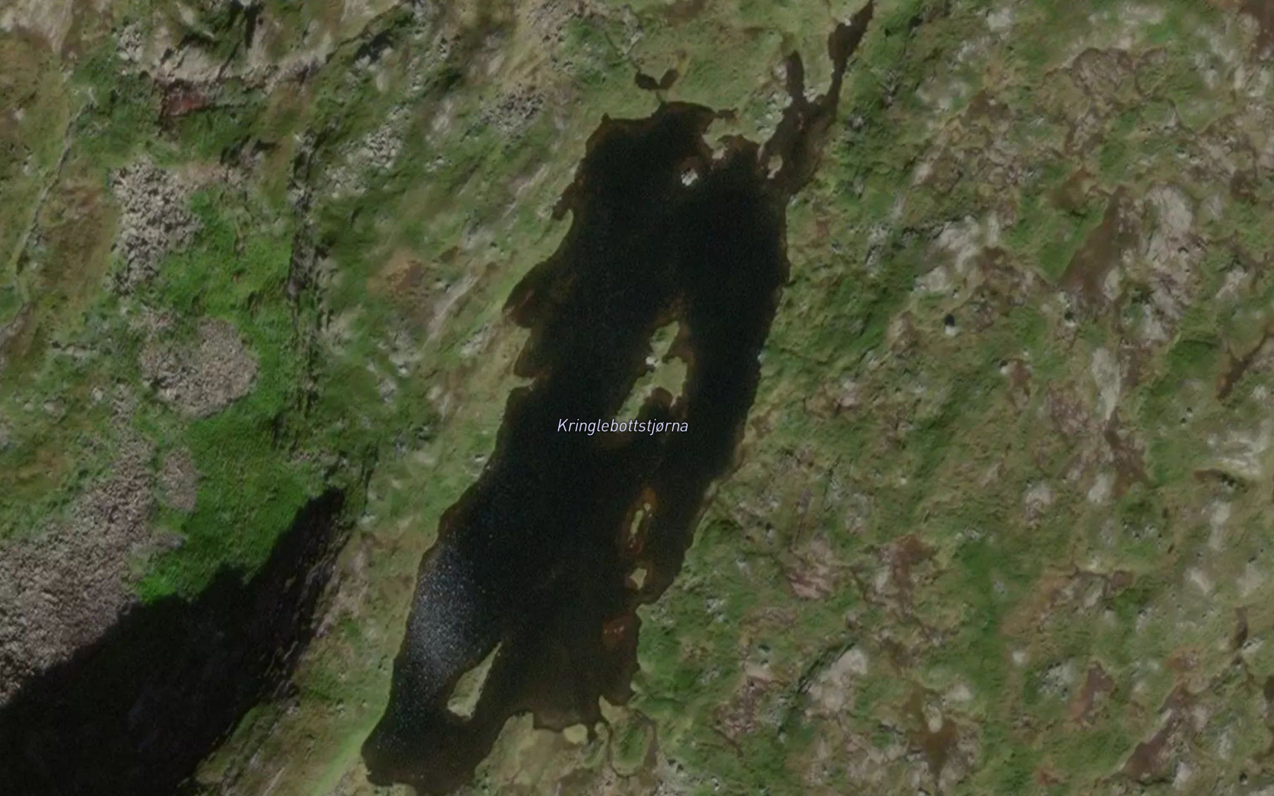 Kringlebotntjorna