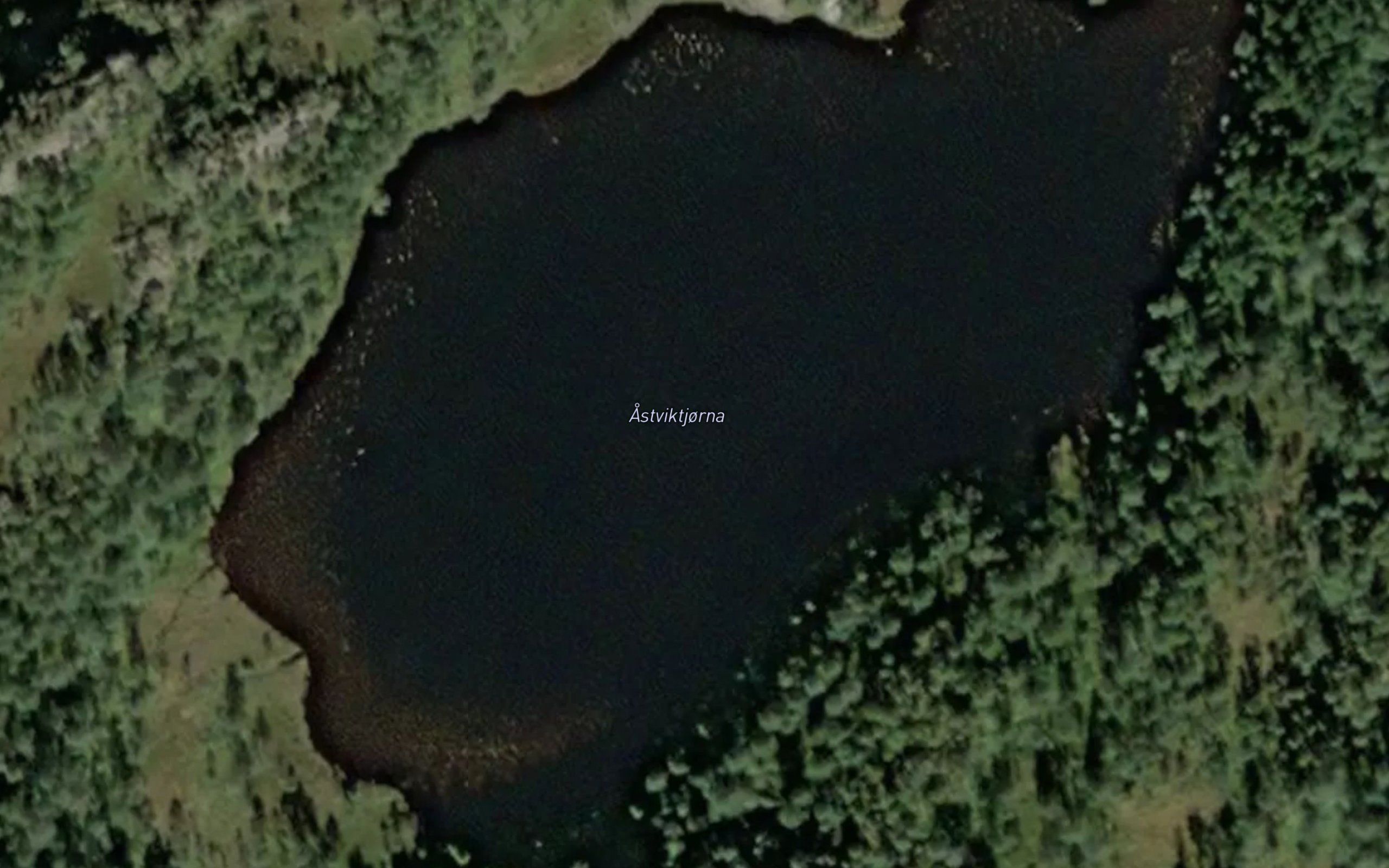 Astviktjorna