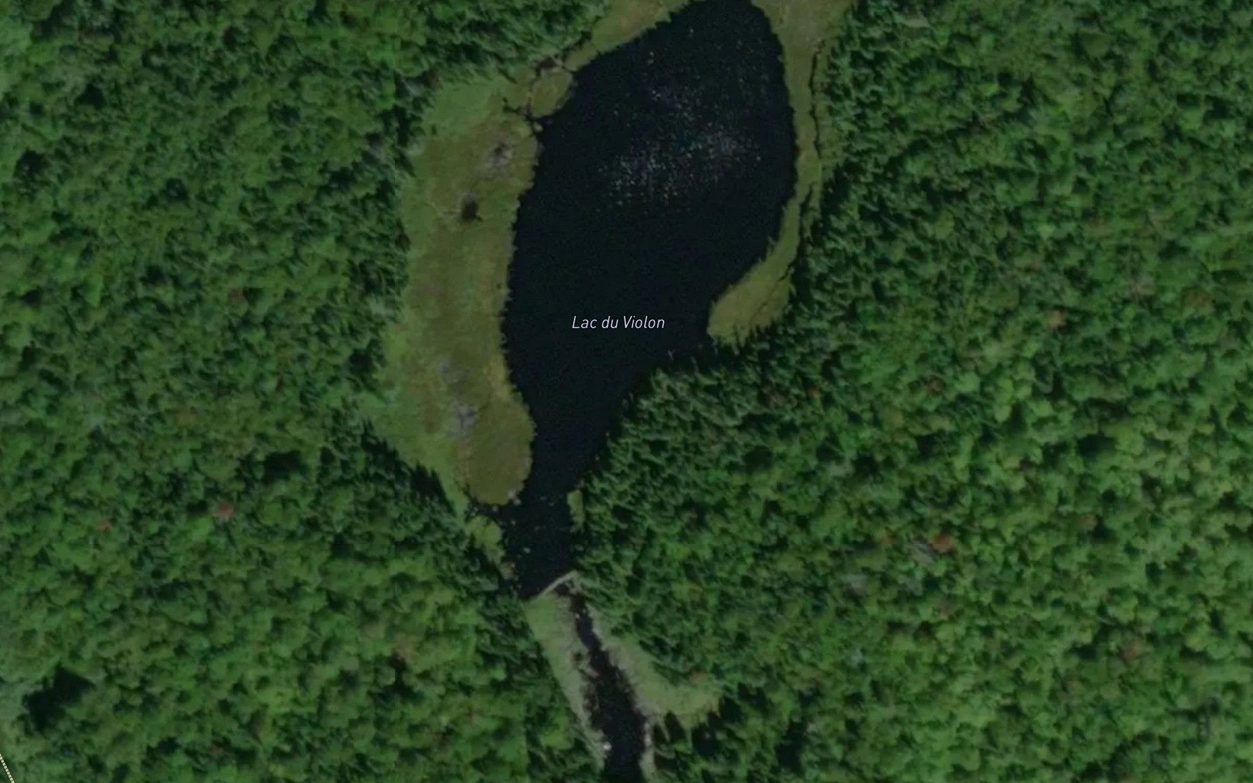 Satellite map of the Lac du Violon