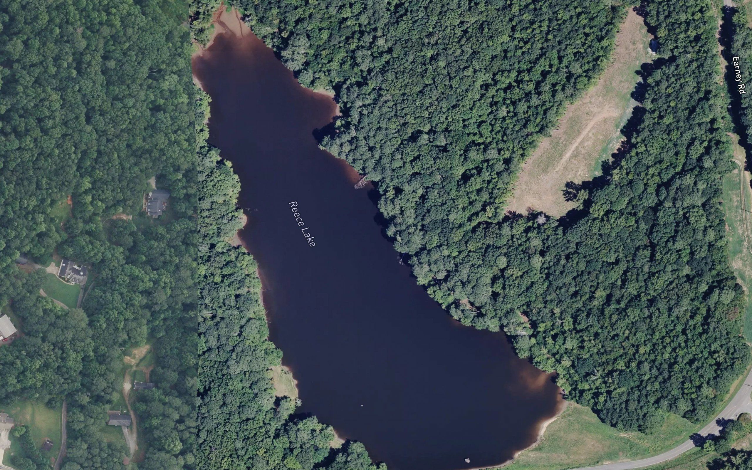 Reece Lake