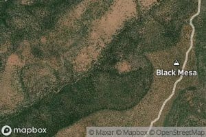 Mud Spring