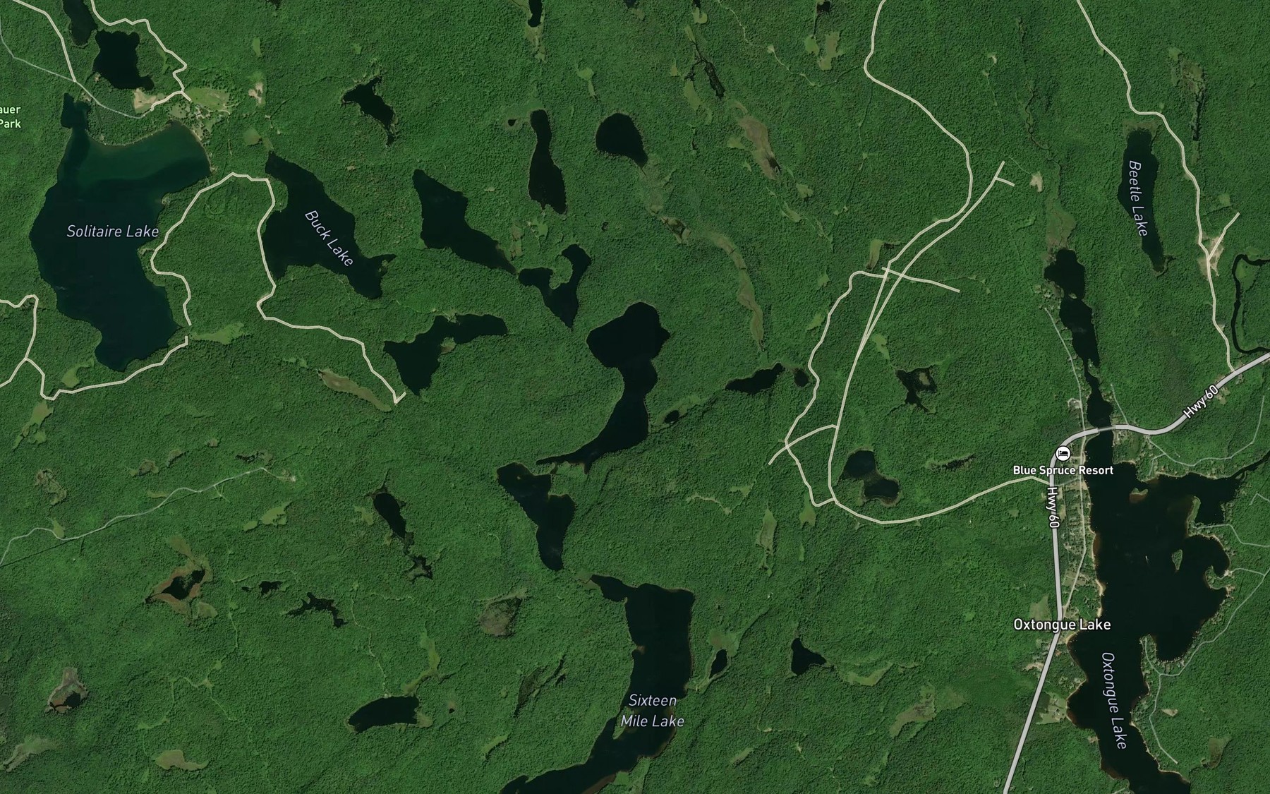 Satellite map of the Eighteen Mile Lake