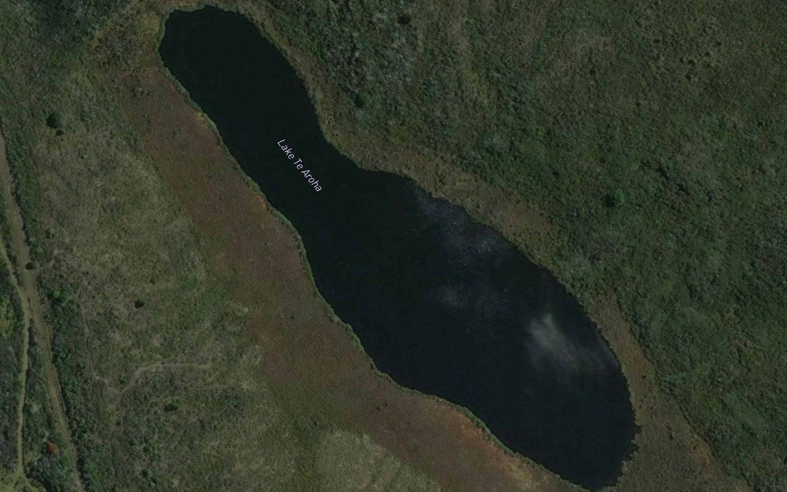 Lake Te Aroha