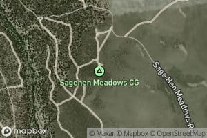 Sagehen Spring