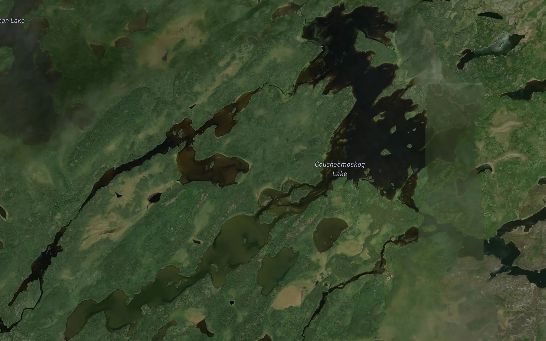 Satellite map of the Coucheemoskog Lake
