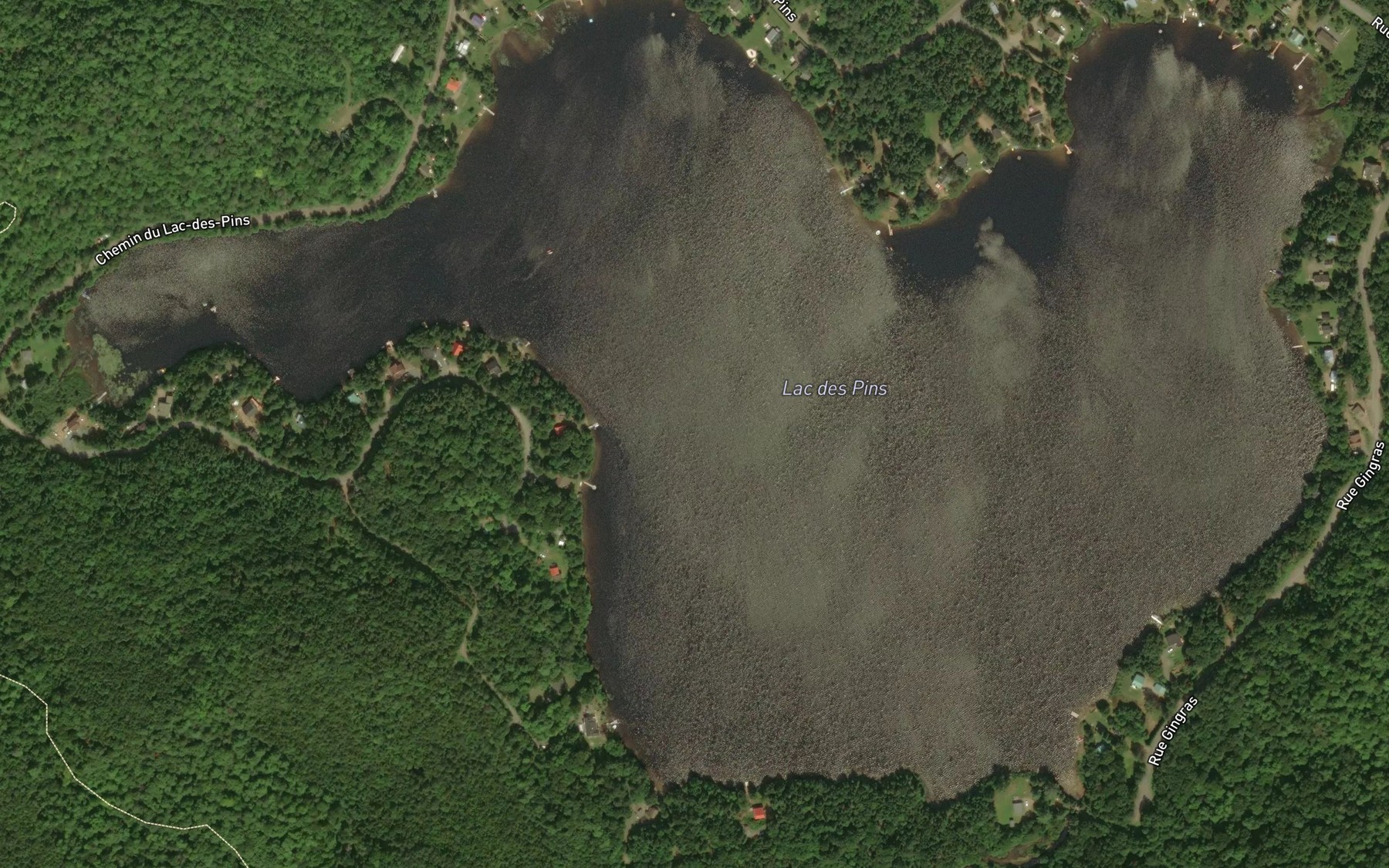 Satellite map of the Lac des Pins