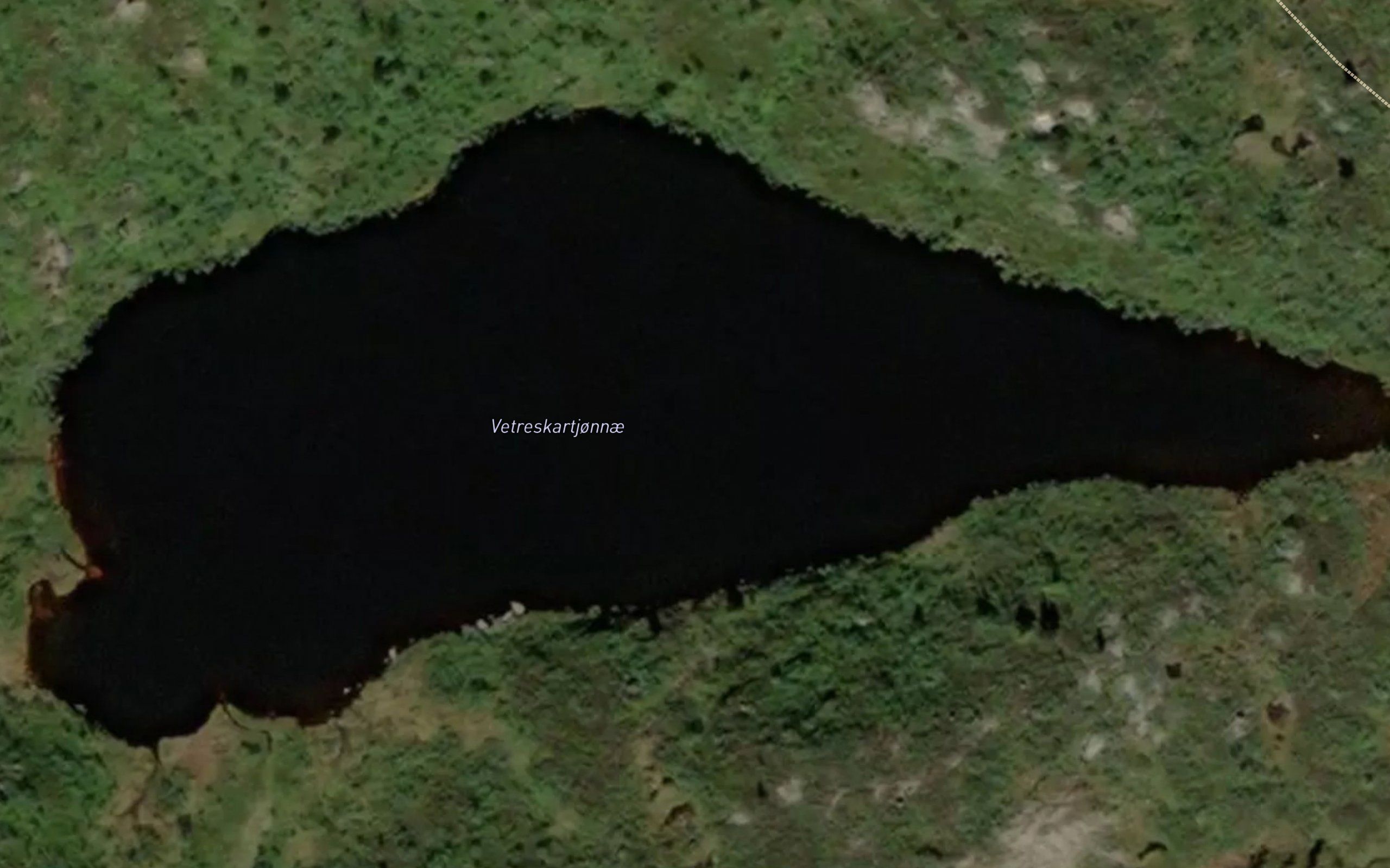 Vetreskardstjorni