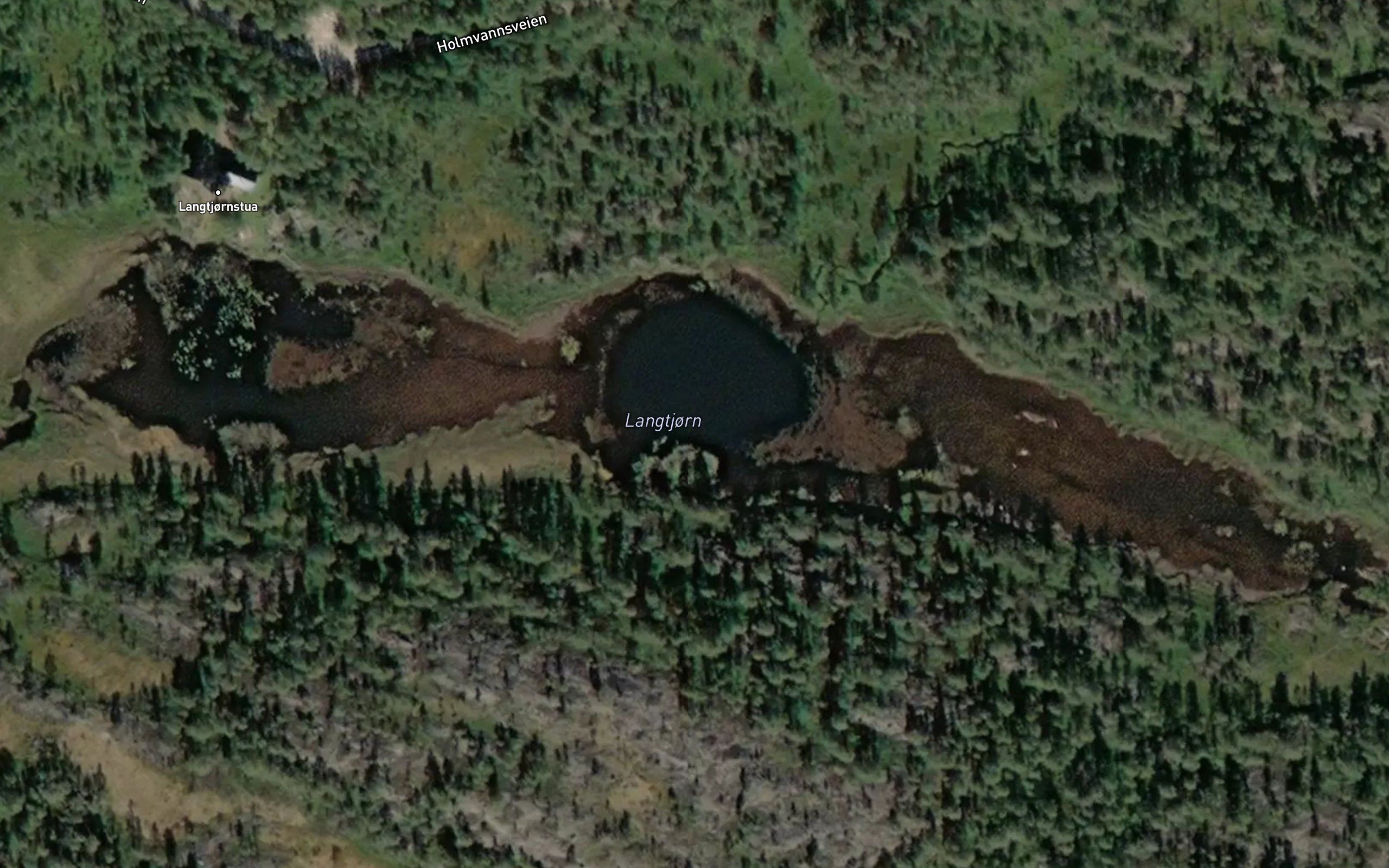 Langtjorn
