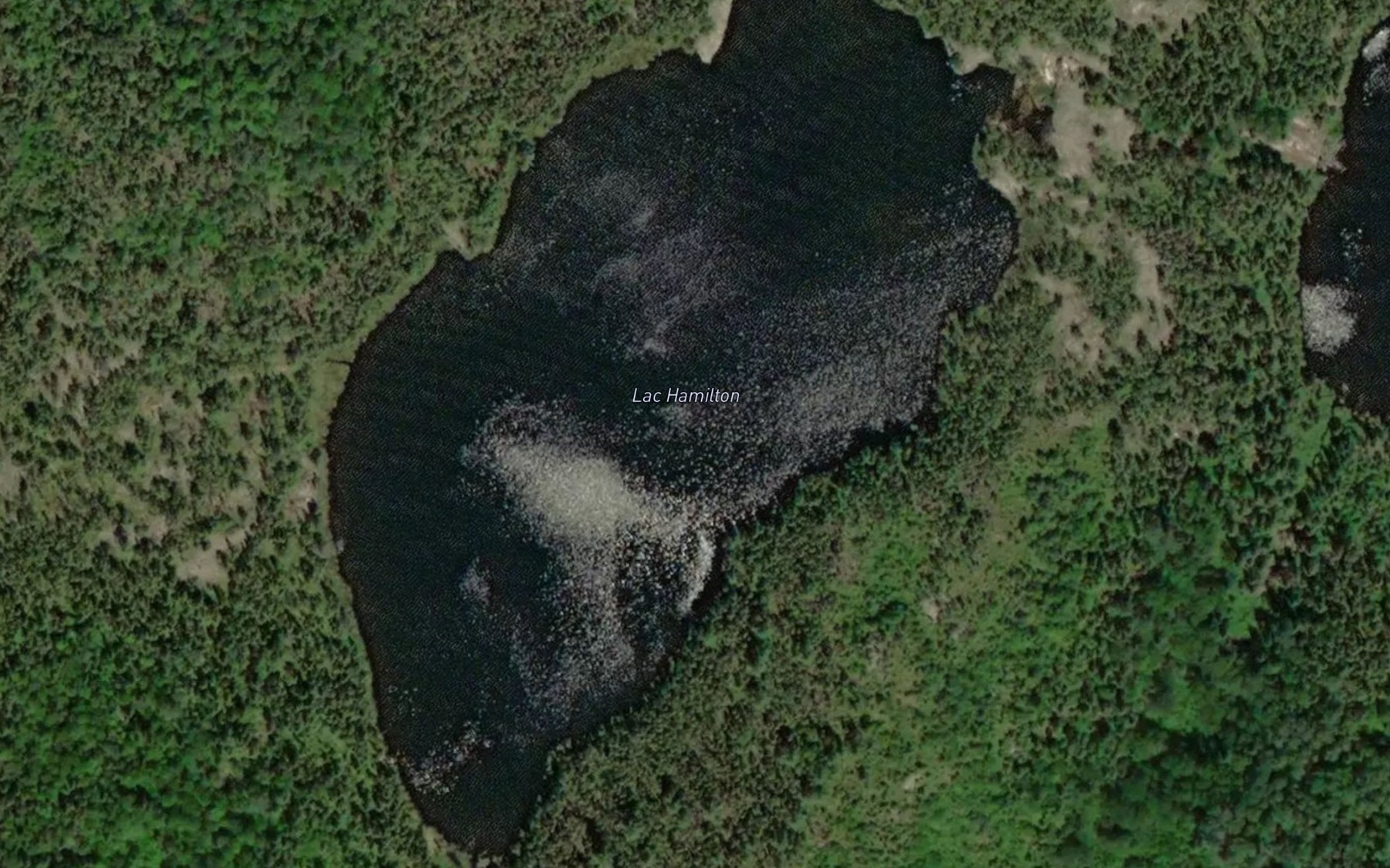 Satellite map of the Lac Hamilton