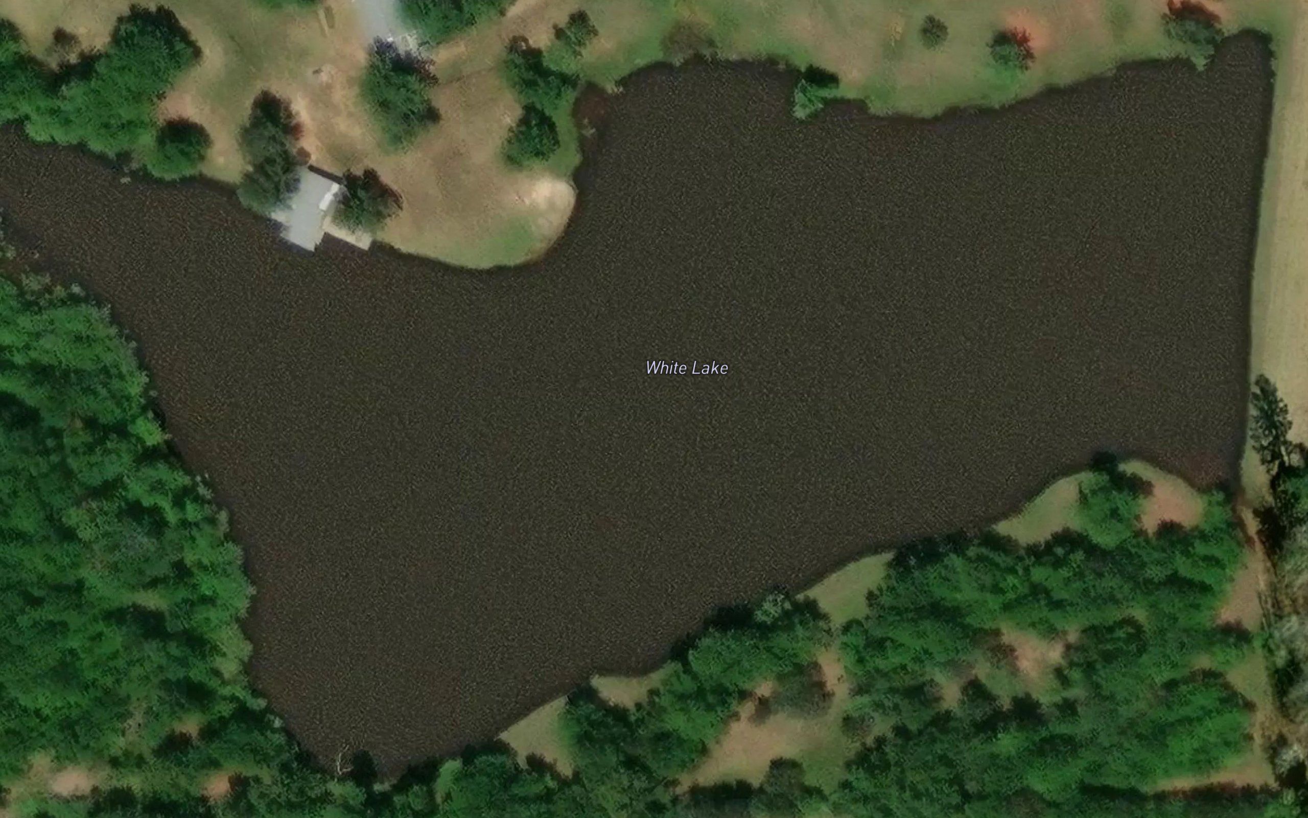 White Lake