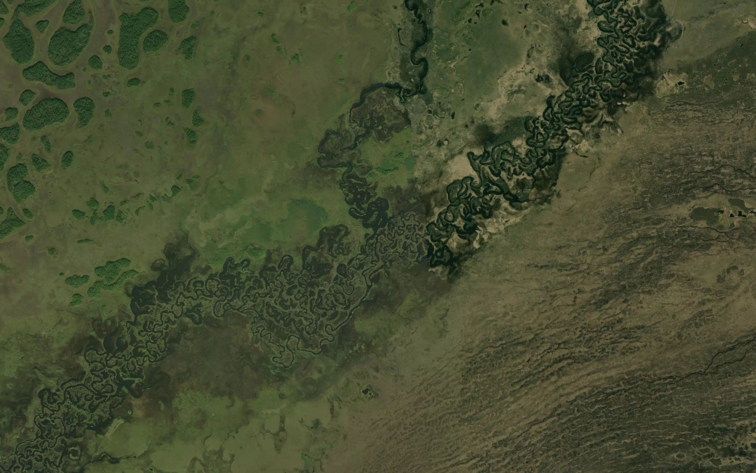 Protoka Krivaya