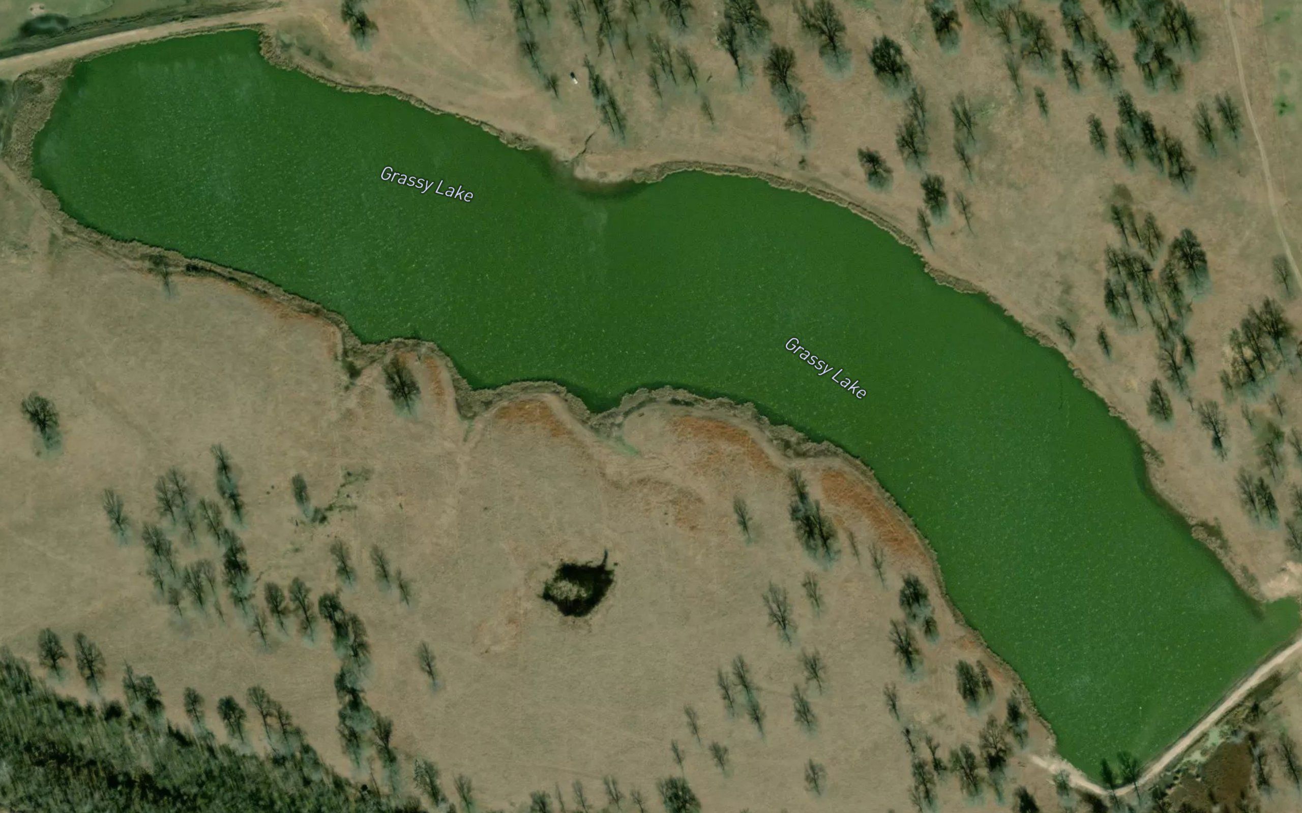 Grassy Lake