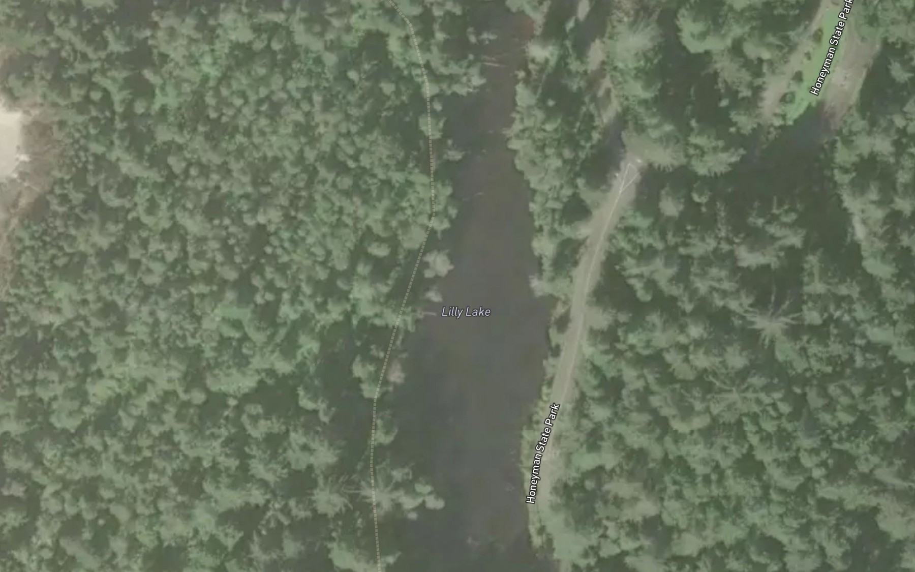 Satellite map of the Lilly Lake