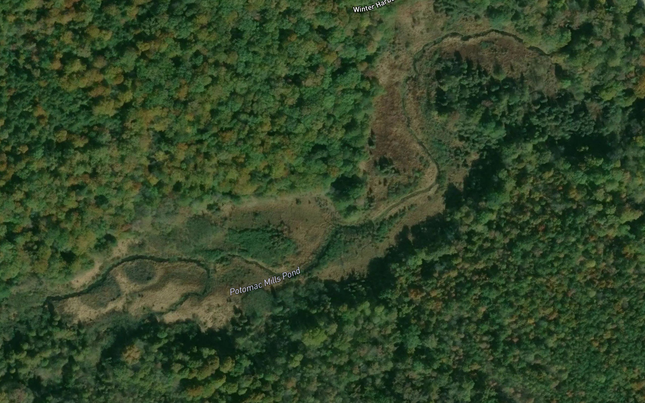 Potomac Mills Pond