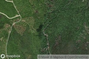 Spruce Mountain Brook