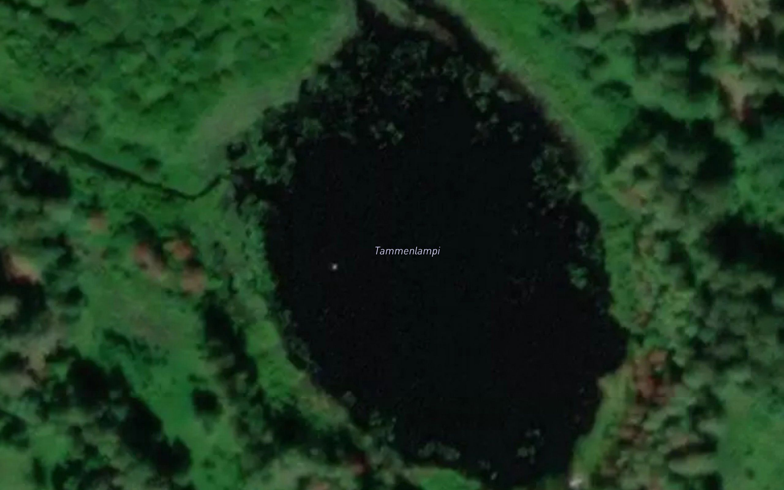 Tammenlampi