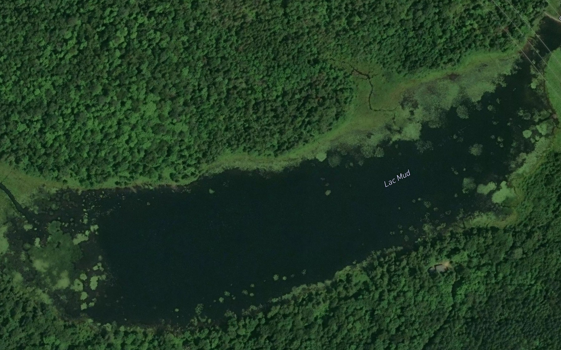 Satellite map of the Lac Mud