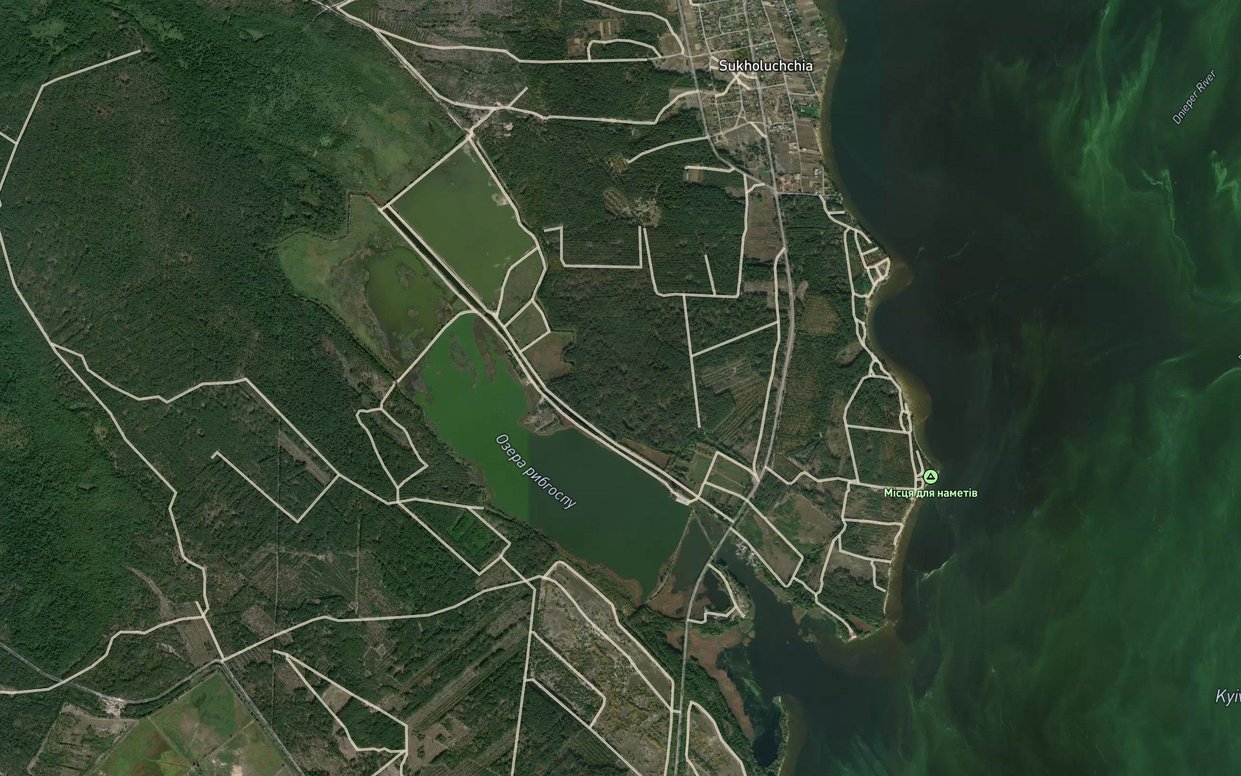 Zhydok