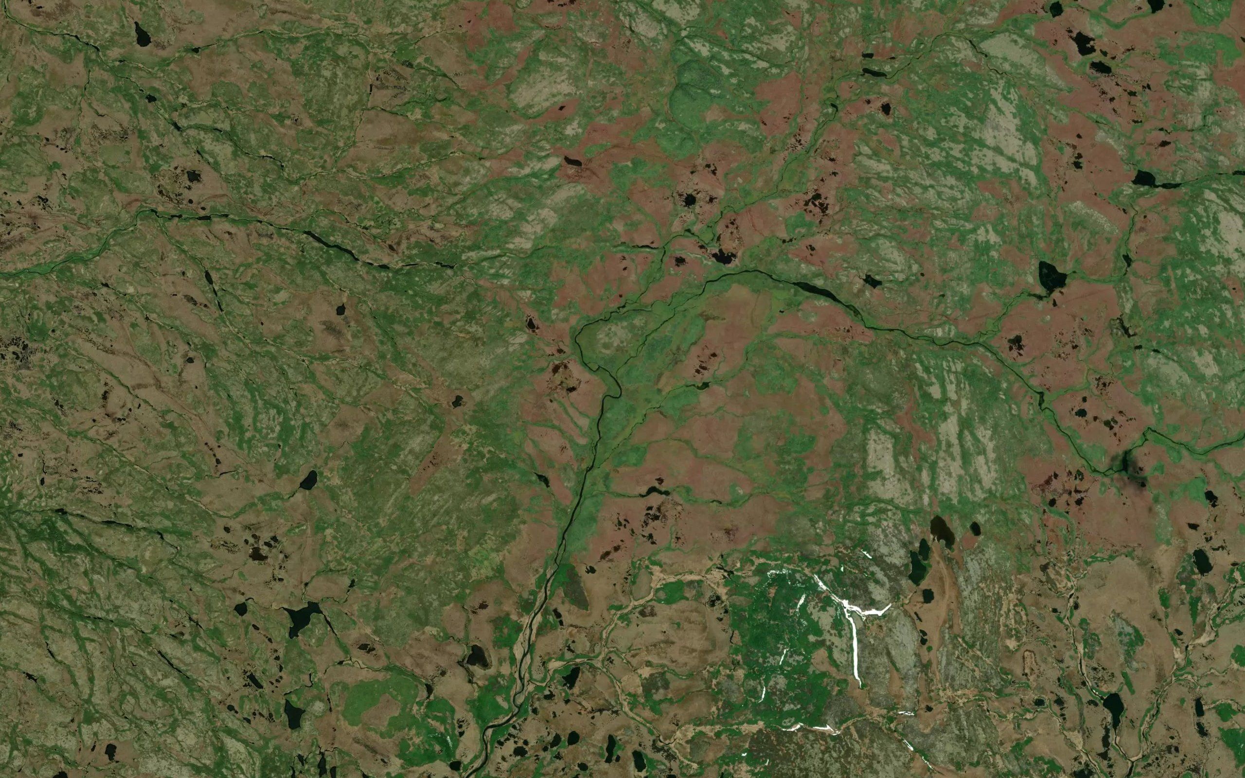 Beaver Pond Gully