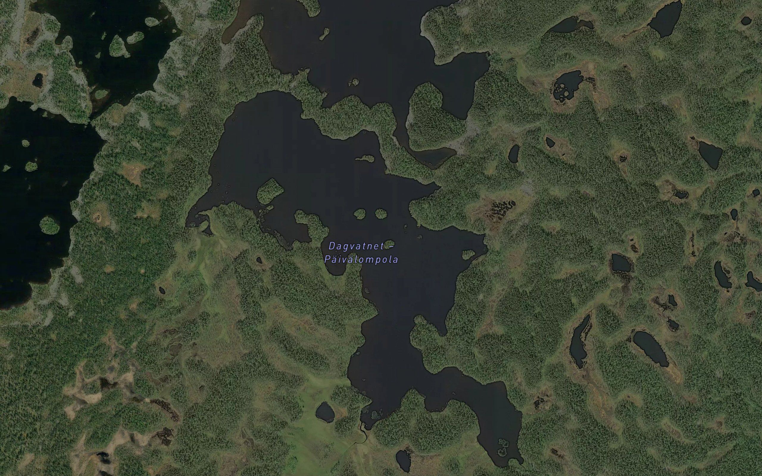 Dagvatnet