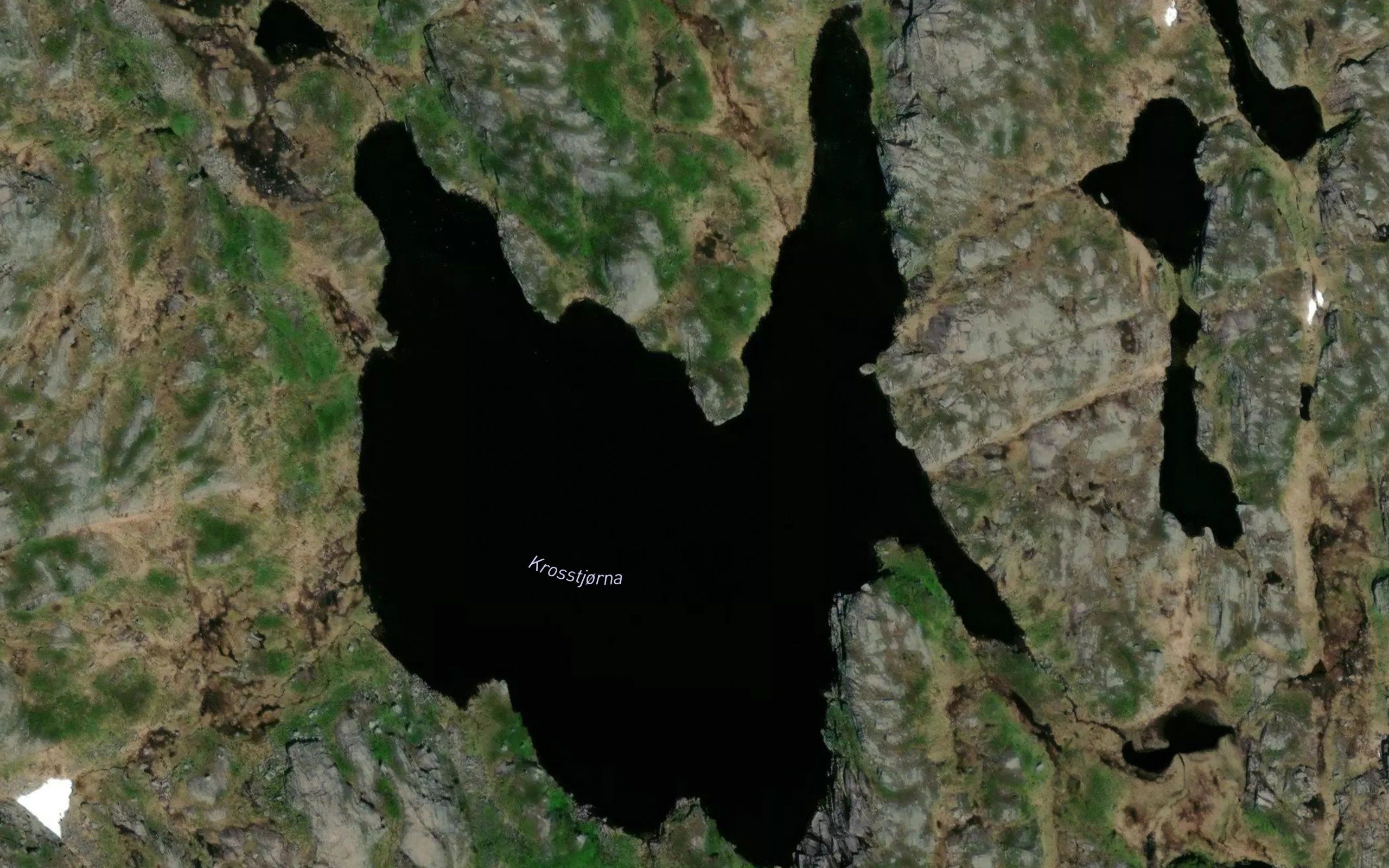 Krosstjorna