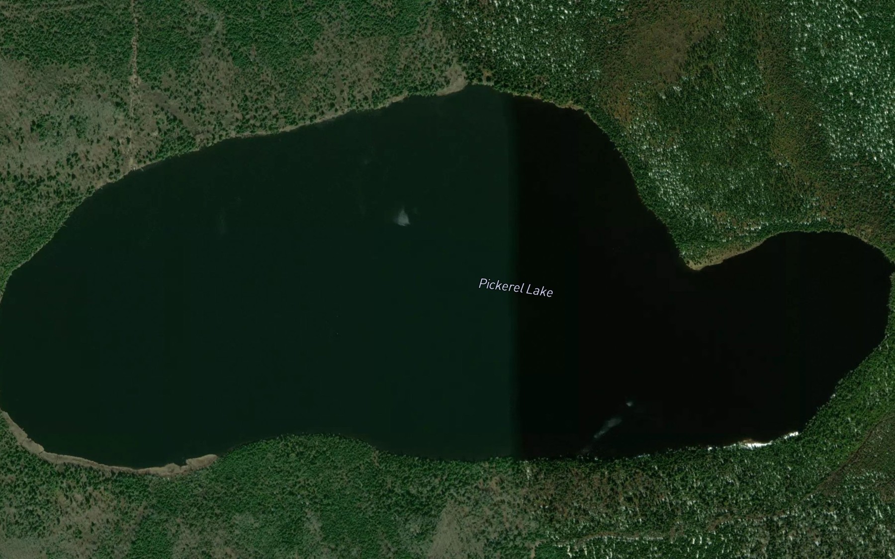 Satellite map of the Pickerel Lake