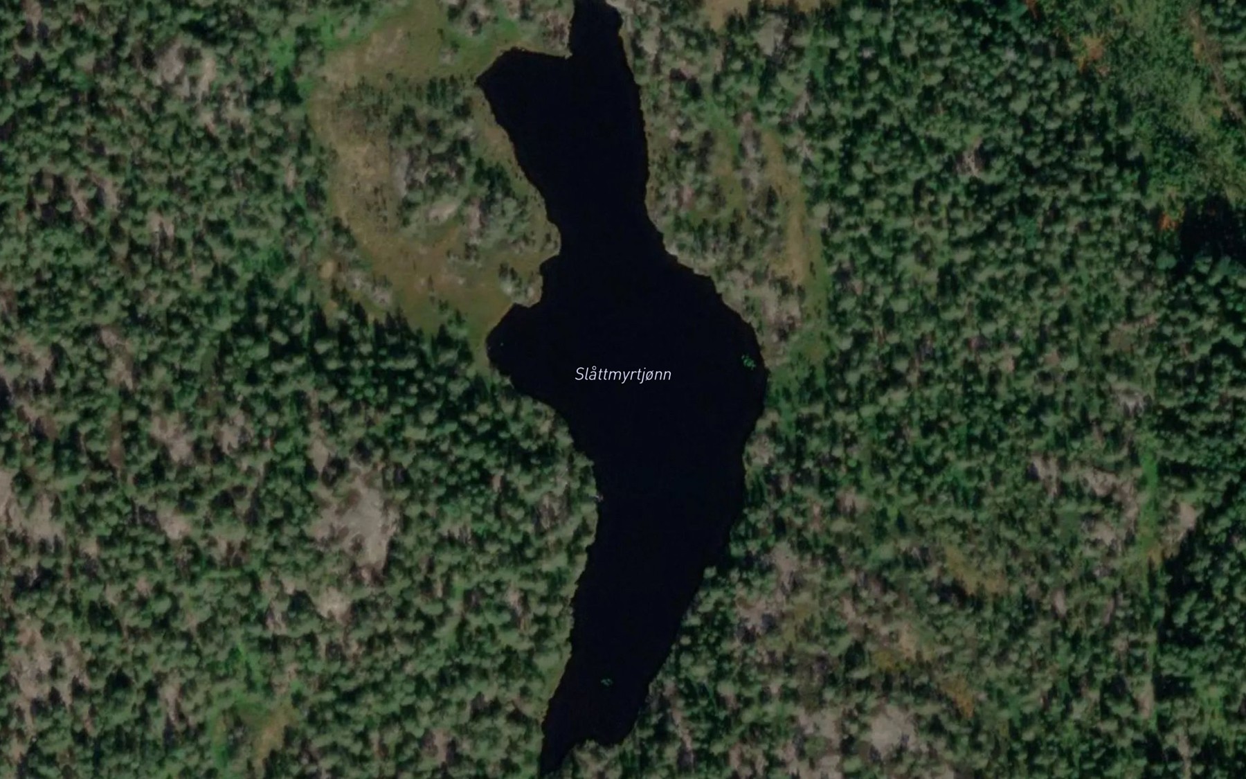Satellite map of the Slattmyrtjonn