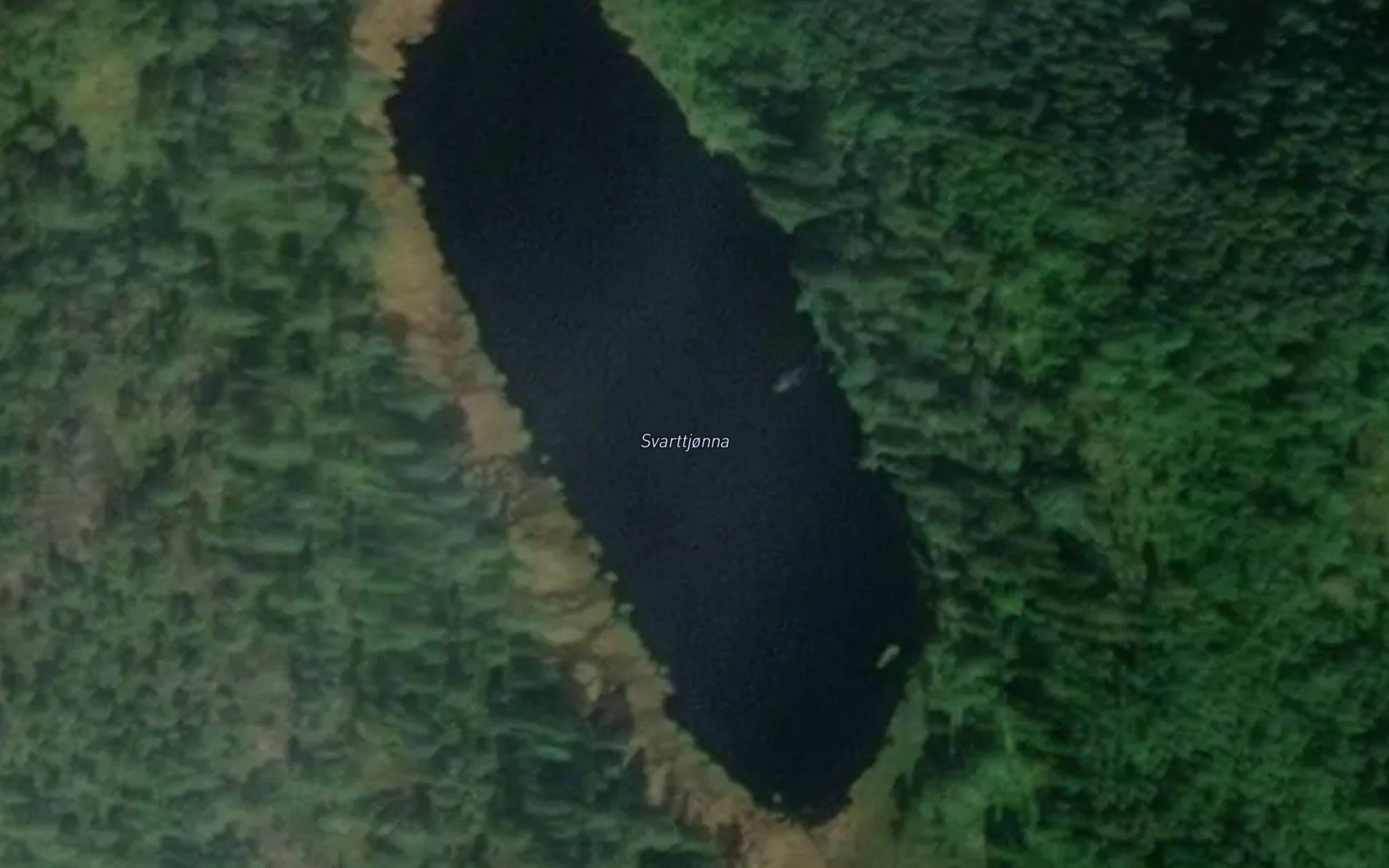 Svarttjonna