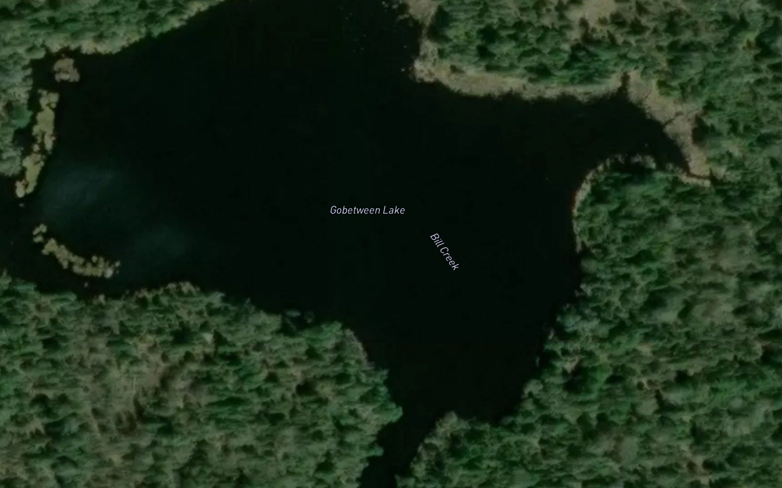 Gobetween Lake