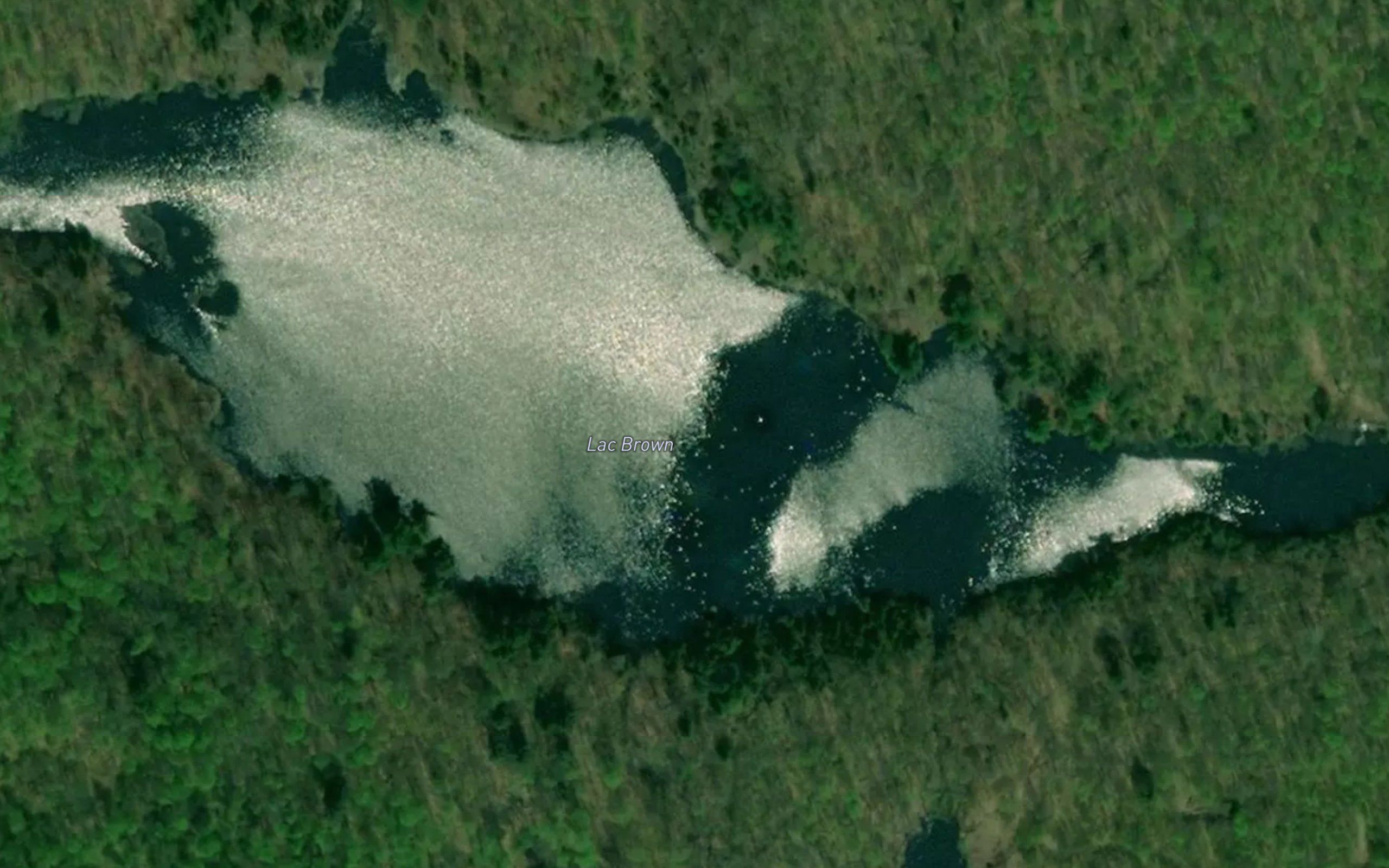 Lac Brown
