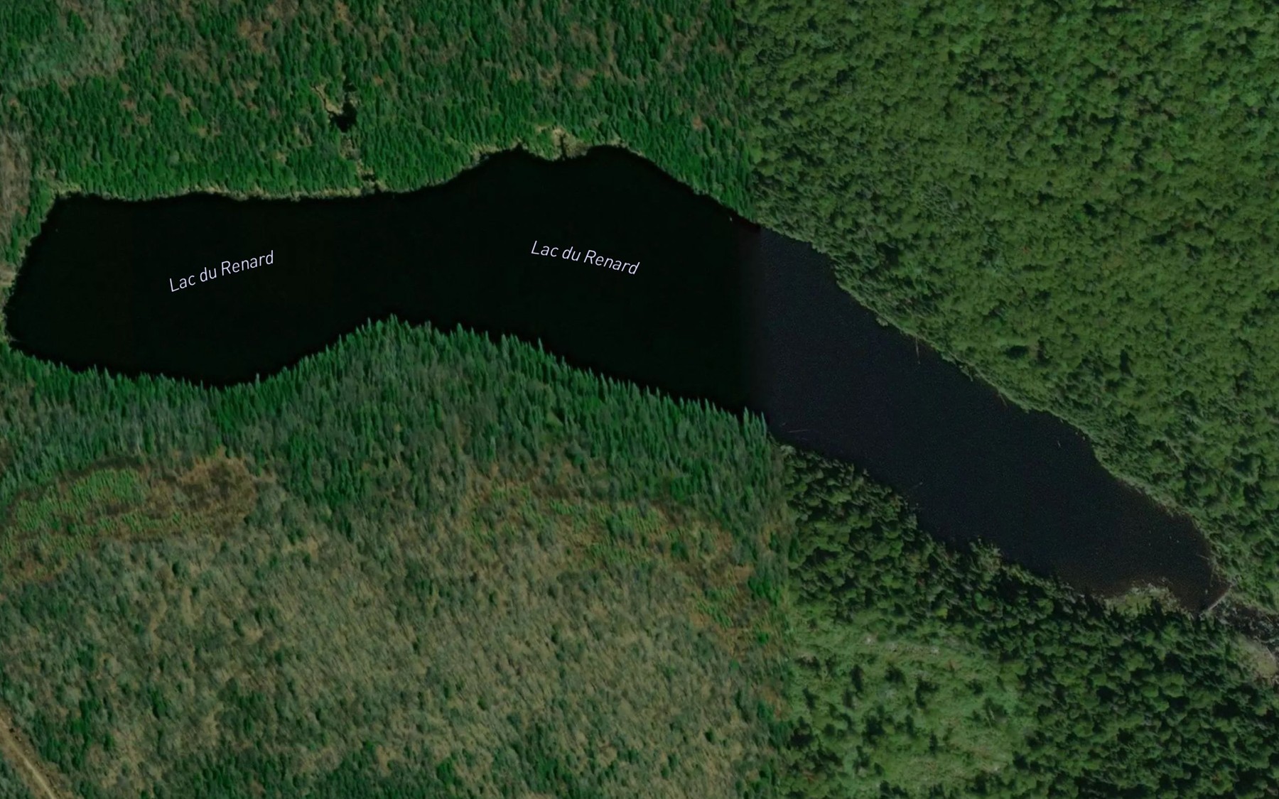 Satellite map of the Lac du Renard