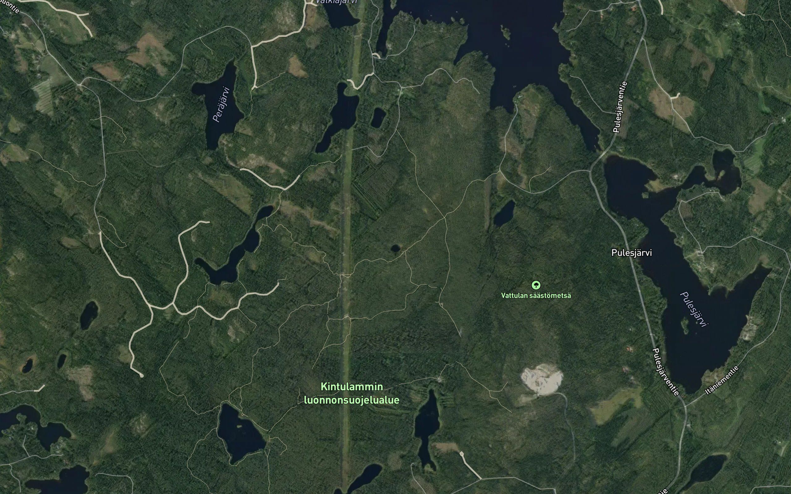 Kaukaloinen
