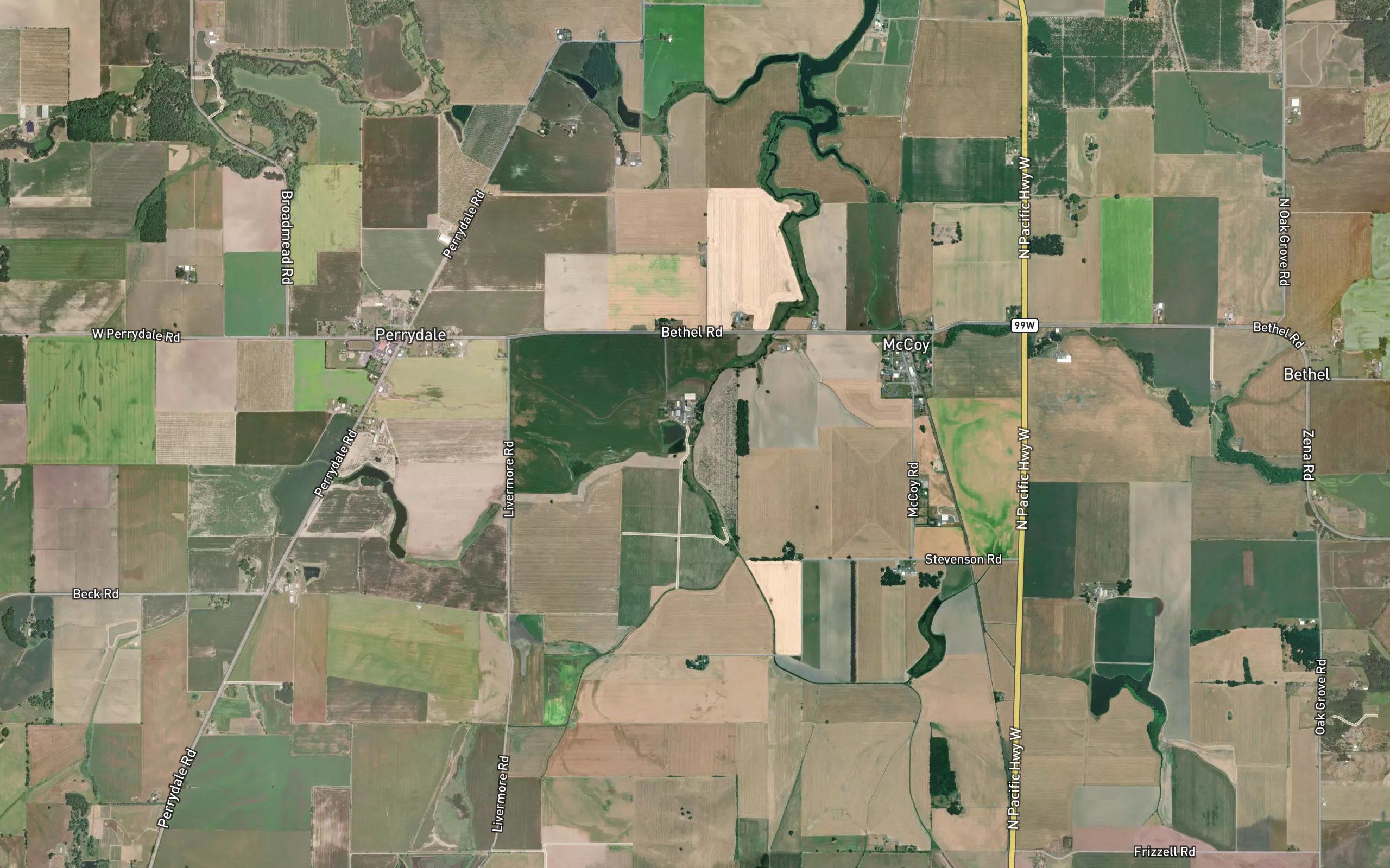 West Branch Ash Swale