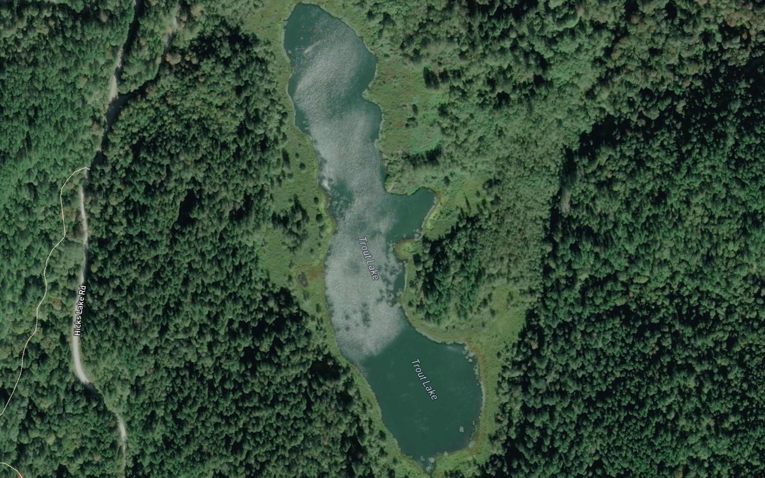 Trout Lake