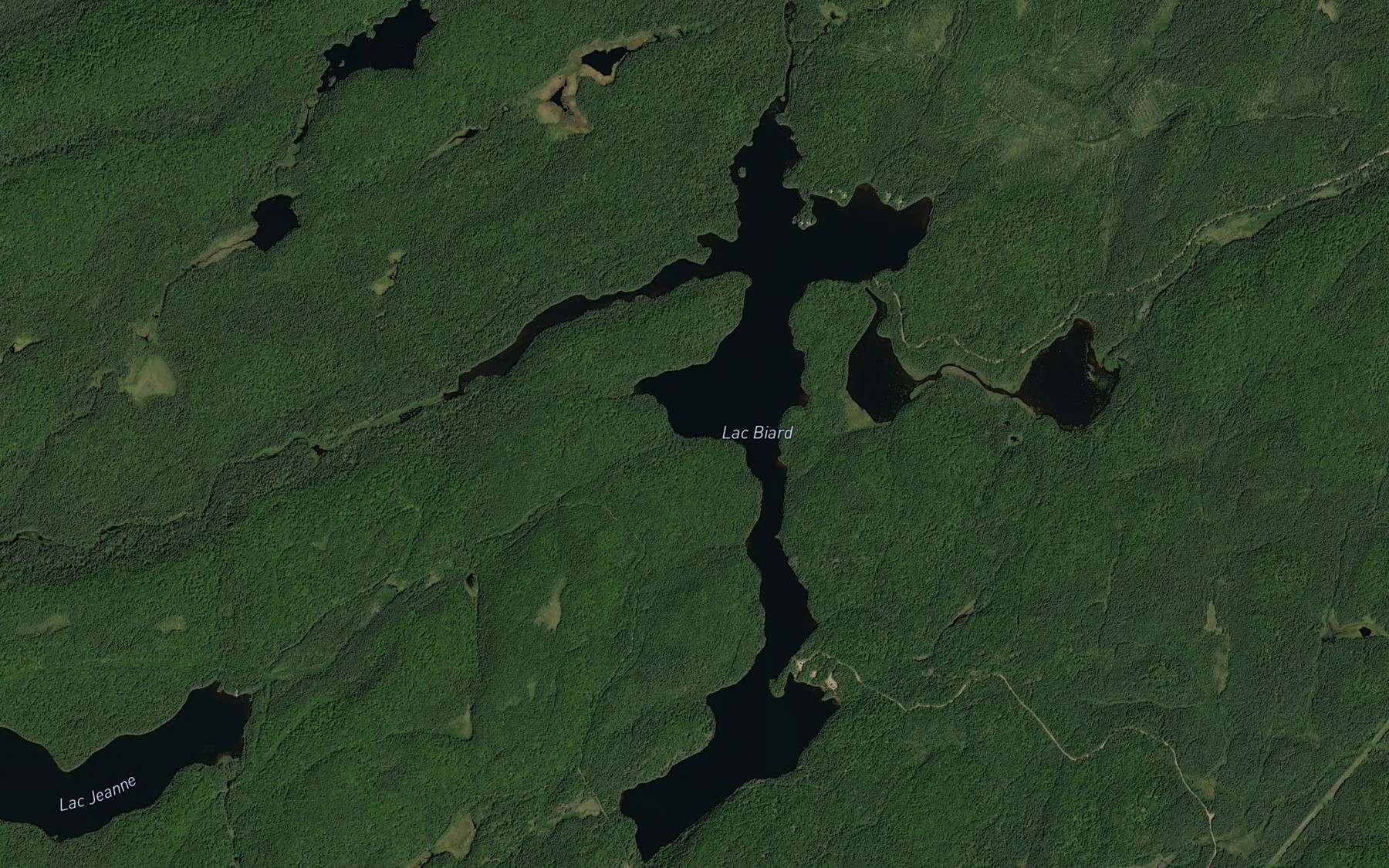 Satellite map of the Lac Biard