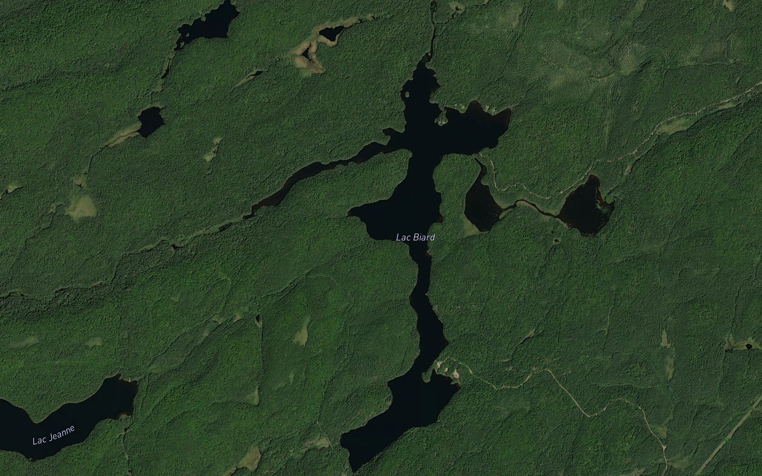 Lac Biard