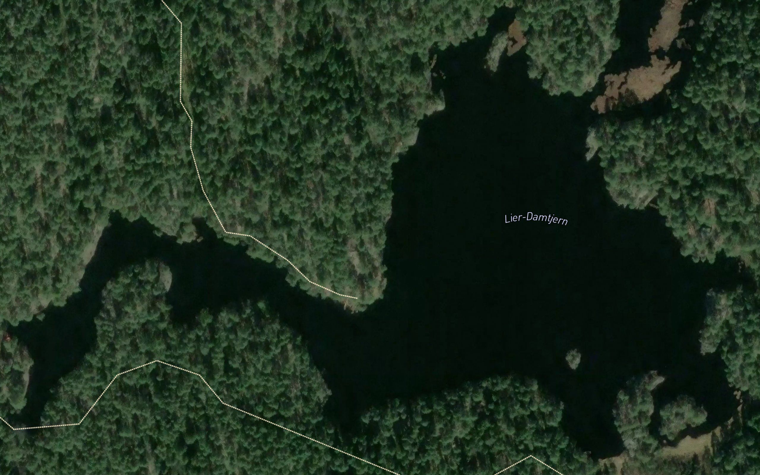 Lier-Damtjern