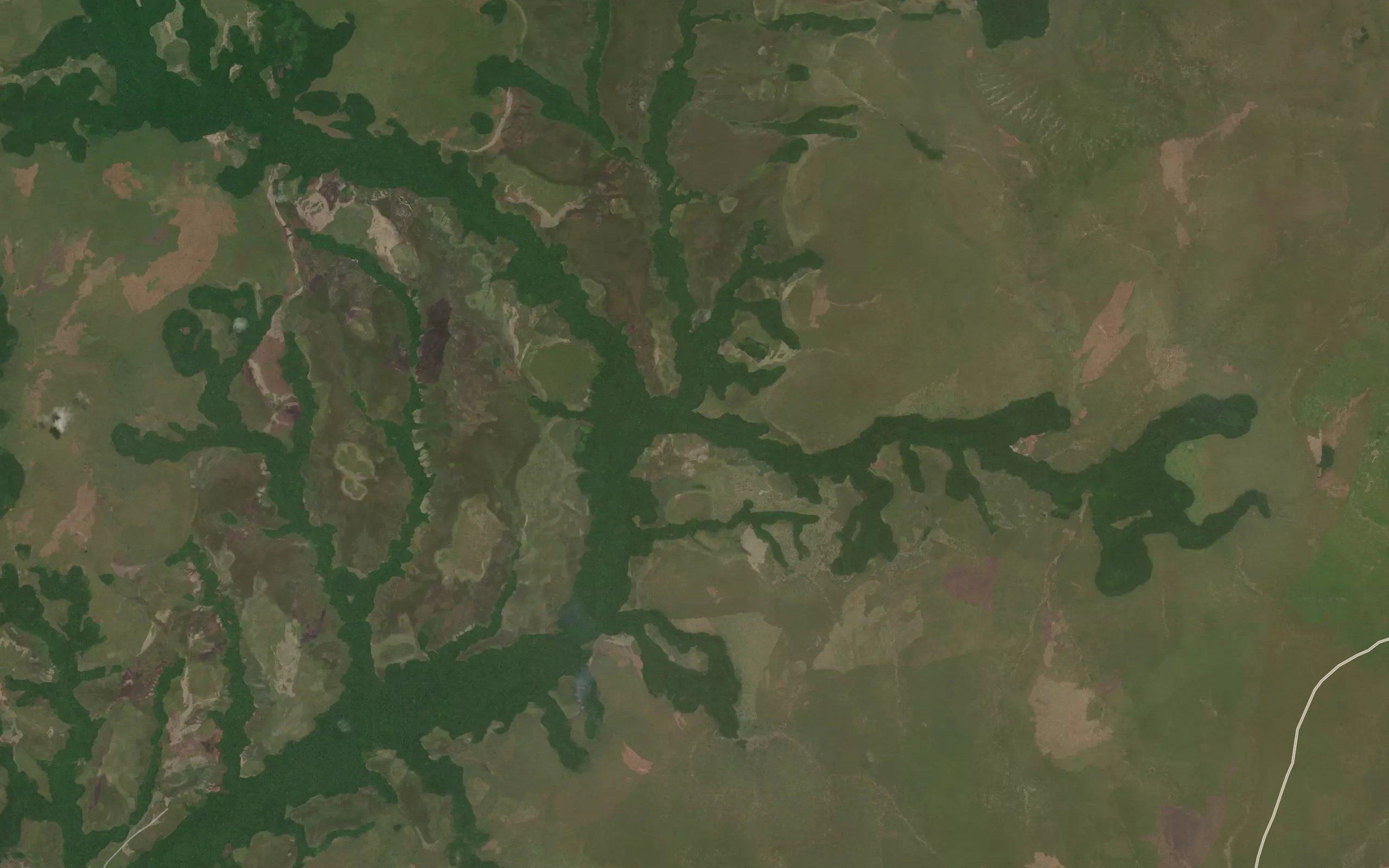 Dzouala