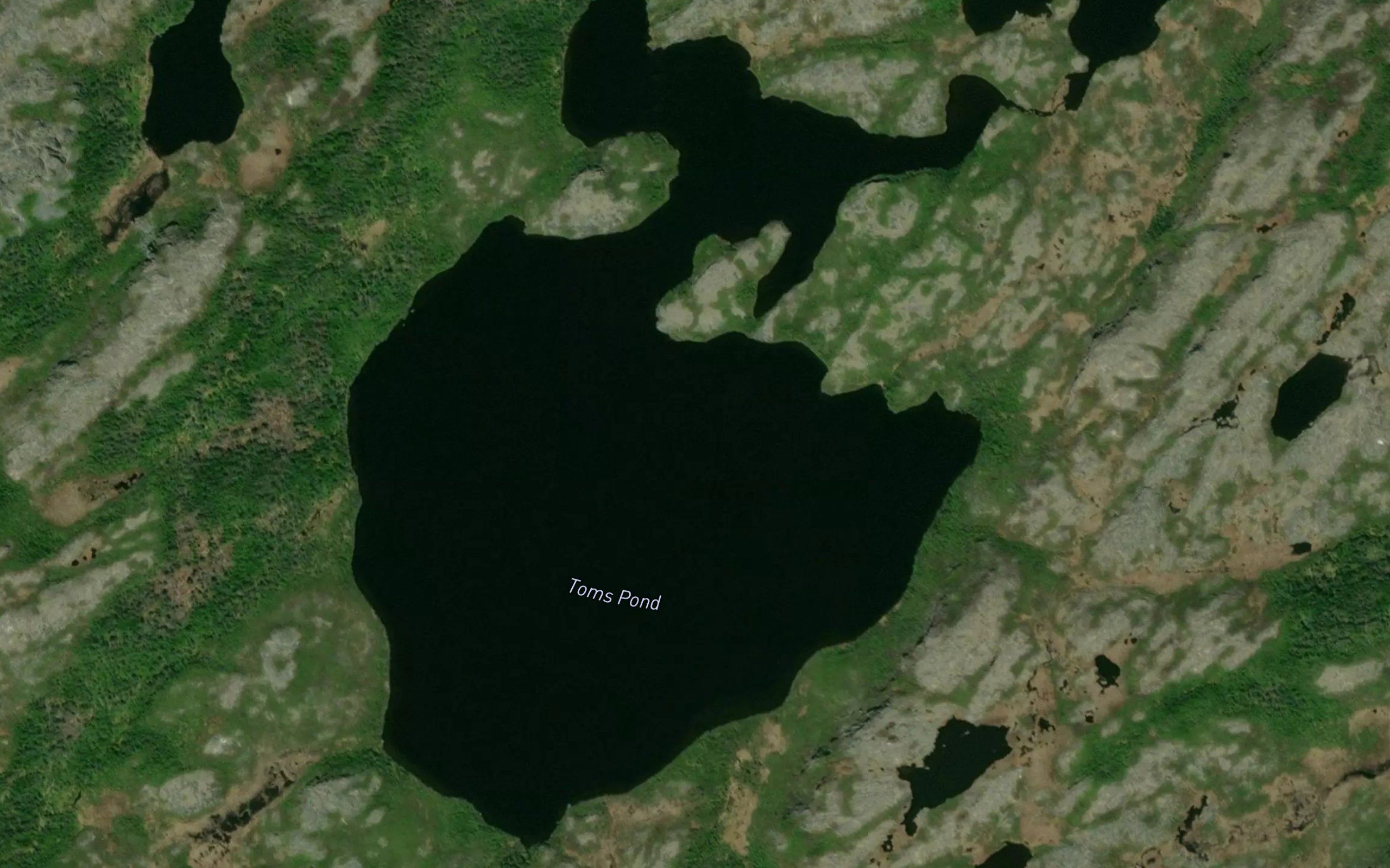 Toms Pond