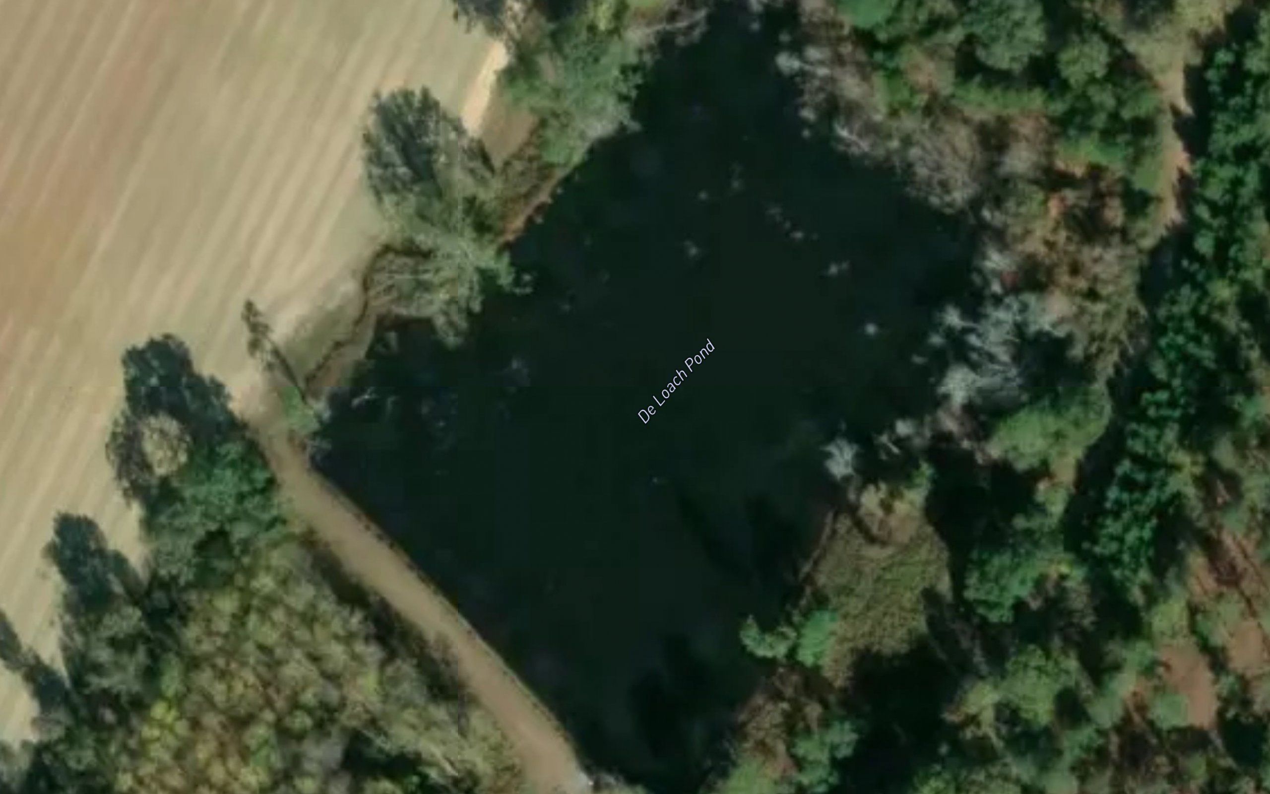 De Loach Pond