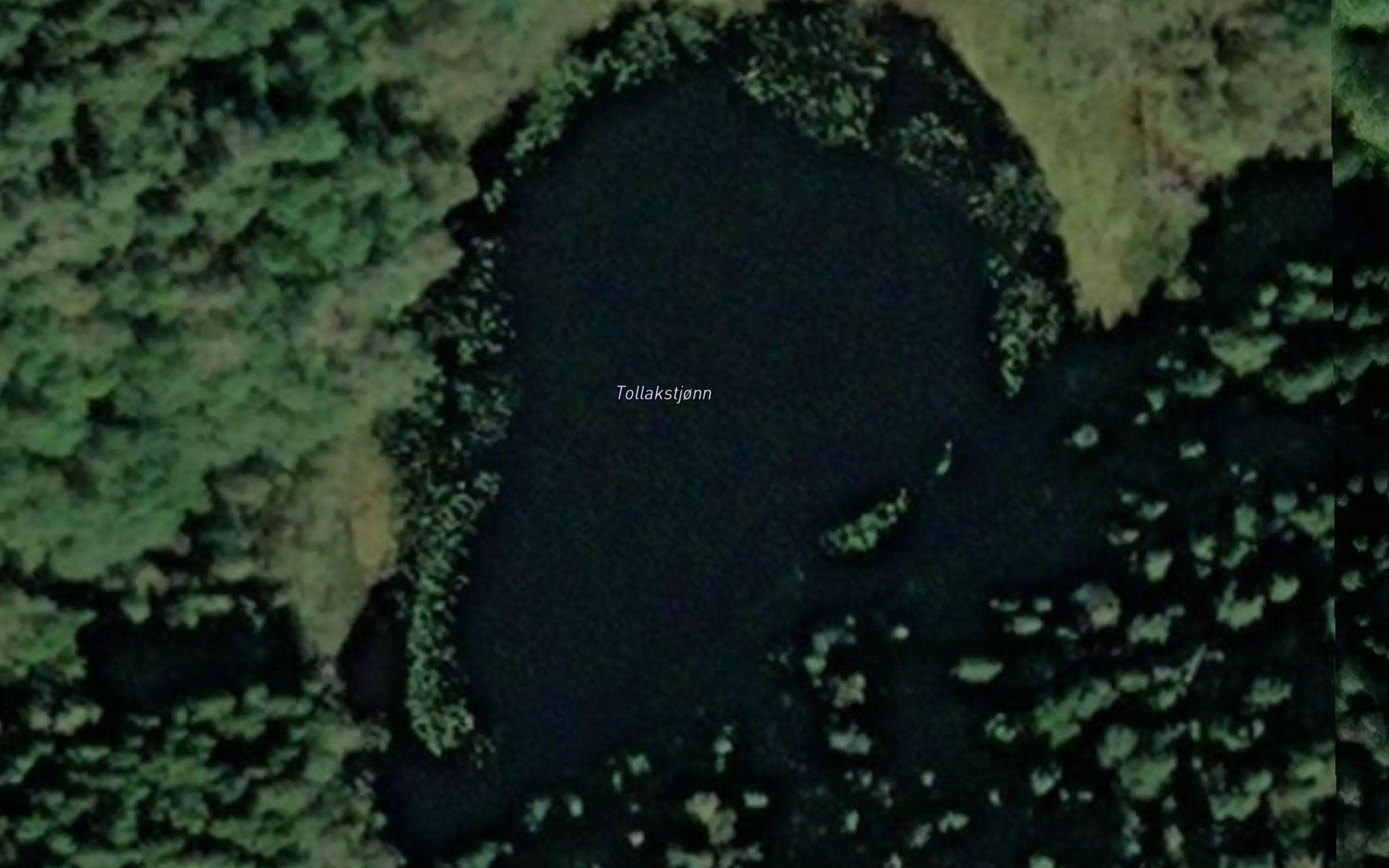 Tollakstjonn
