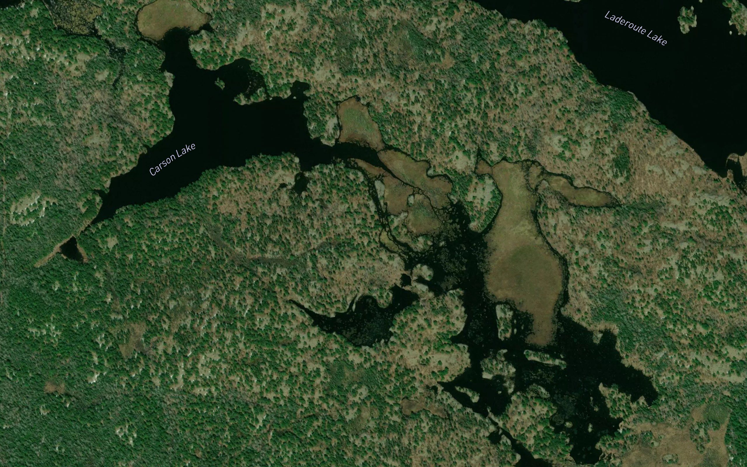 Carson Lake
