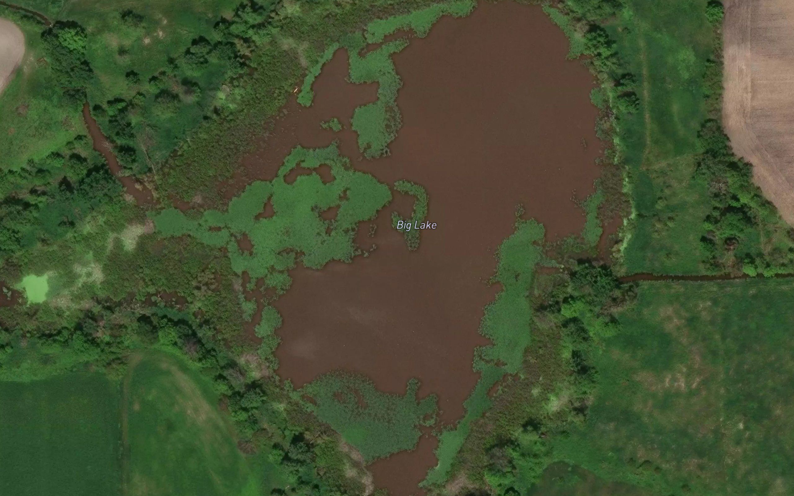 Big Lake
