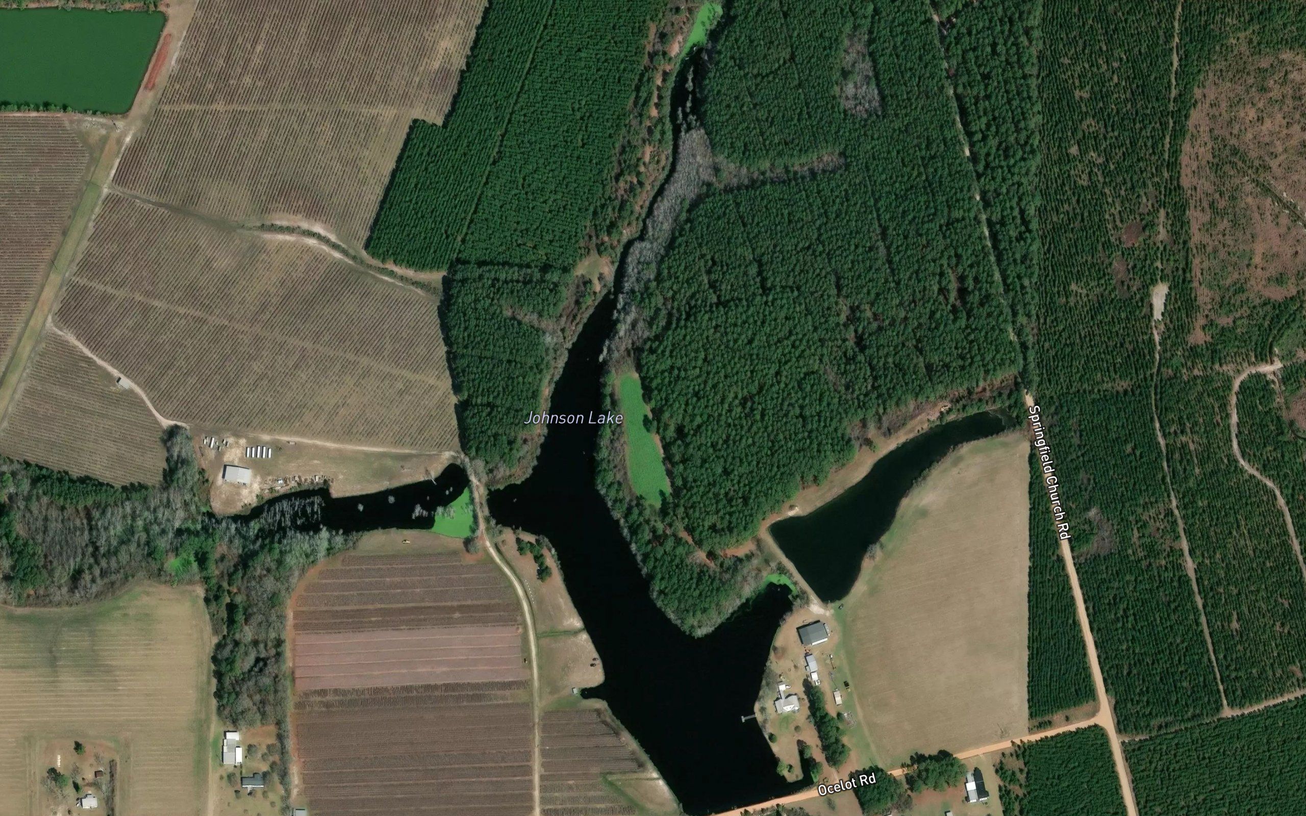 Johnson Lake