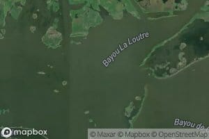 Bayou la Loutre