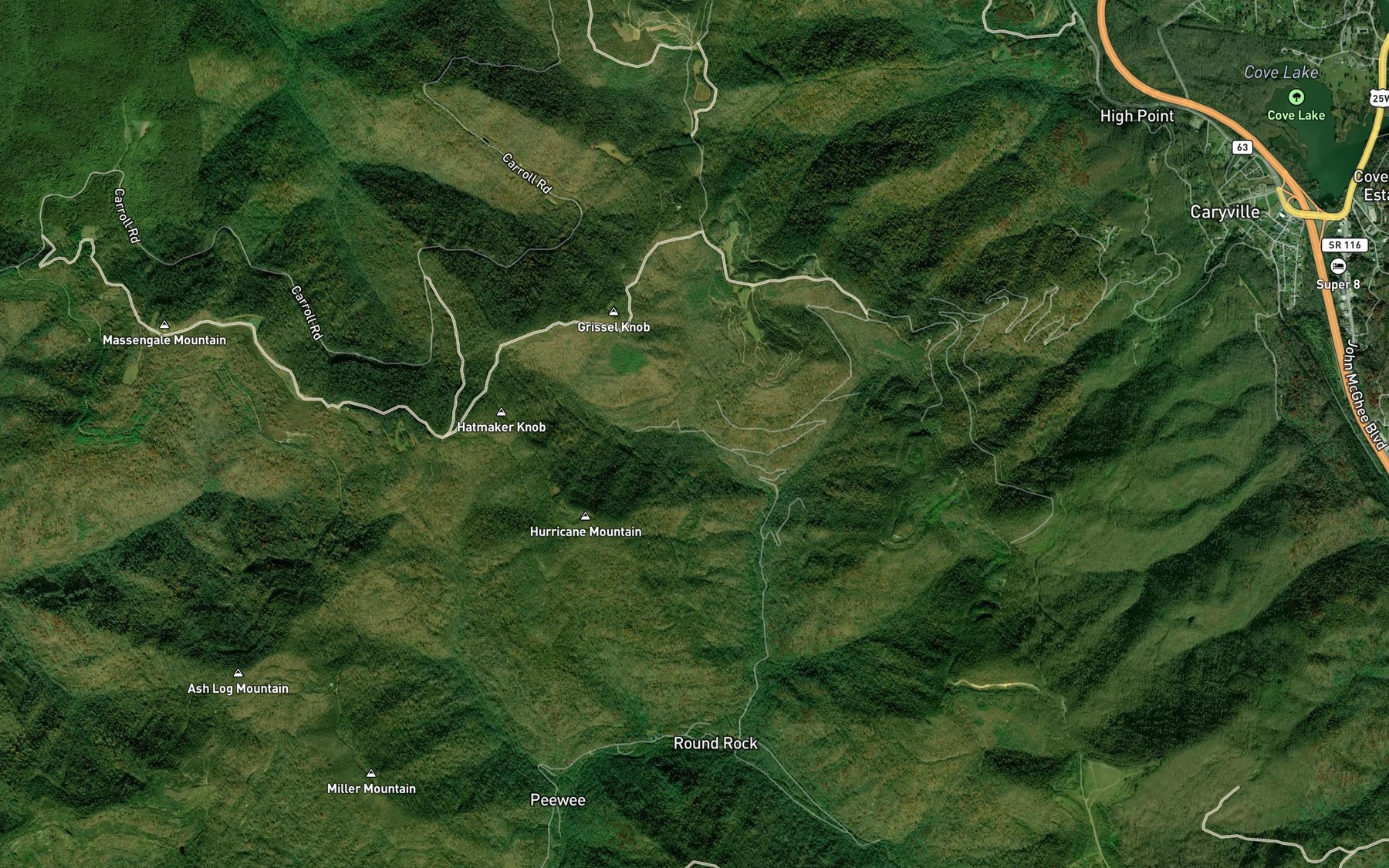 Satellite map of the West Prong Davids Creek